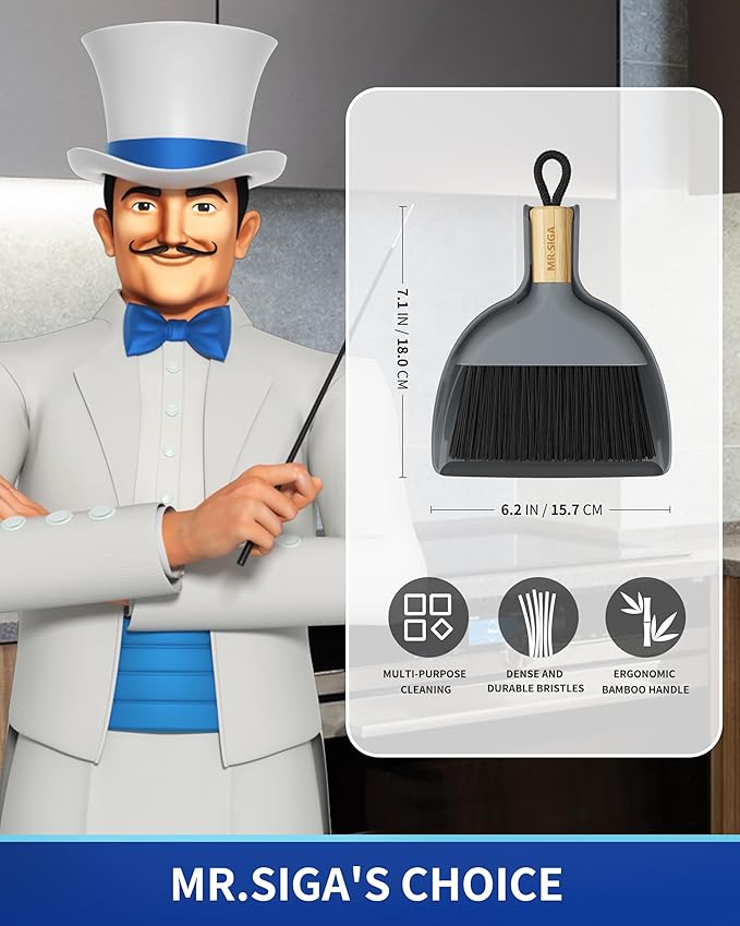 MR.SIGA Mini Dustpan and Brush Set, Portable Cleaning Brush and Dustpan Combo