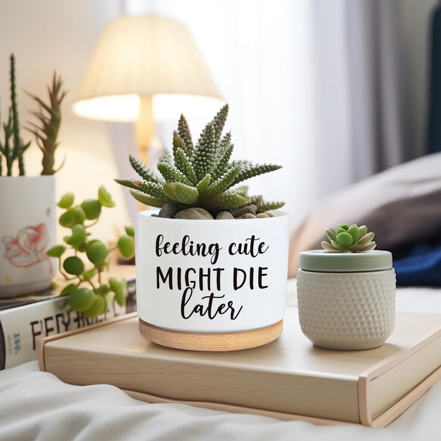 Funny Succulent Plant Pot, Cute 3.5 Inch Small Ceramic Cactus Plant Pot with Drainage, Home Office Desk Planter Pot for Friends Planter Lovers Birthday Christmas Housewarming Gifts (No Plants)