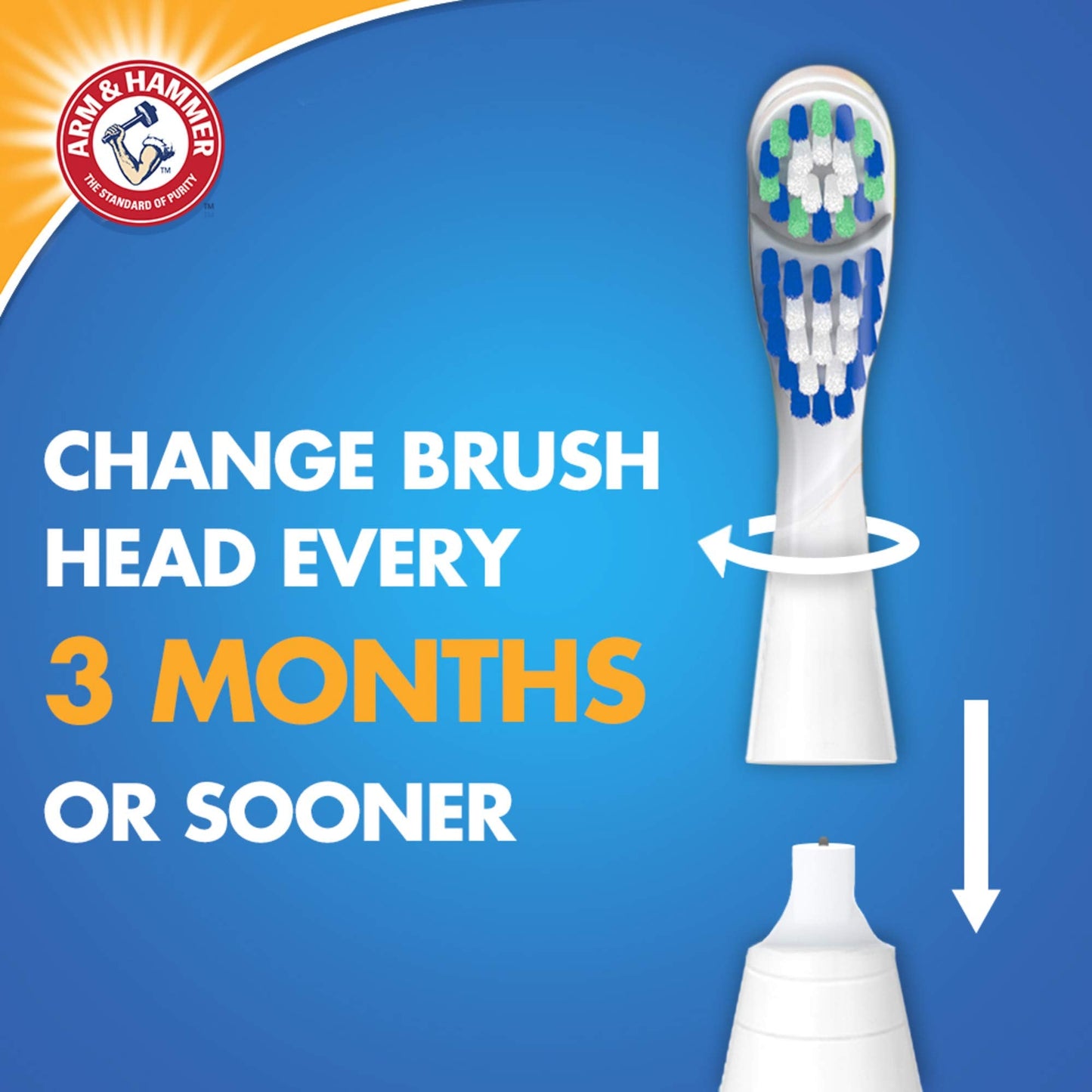 Spinbrush PRO+ Gum Health Powered Toothbrush, 1 count
