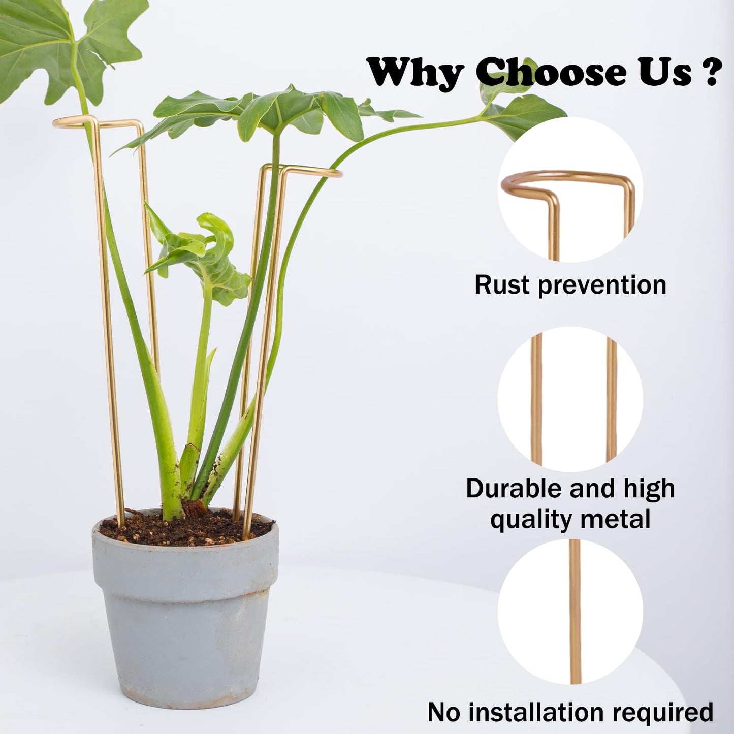 GOOOXIM 12-Inch Monstera Support - 10 Pack Medium Plant Support for Indoor and Outdoor Plants, Durable Stem Holder Trellis for Monstera and Spring Plant Stakes, Ideal for Home, Balcony, and Terrace