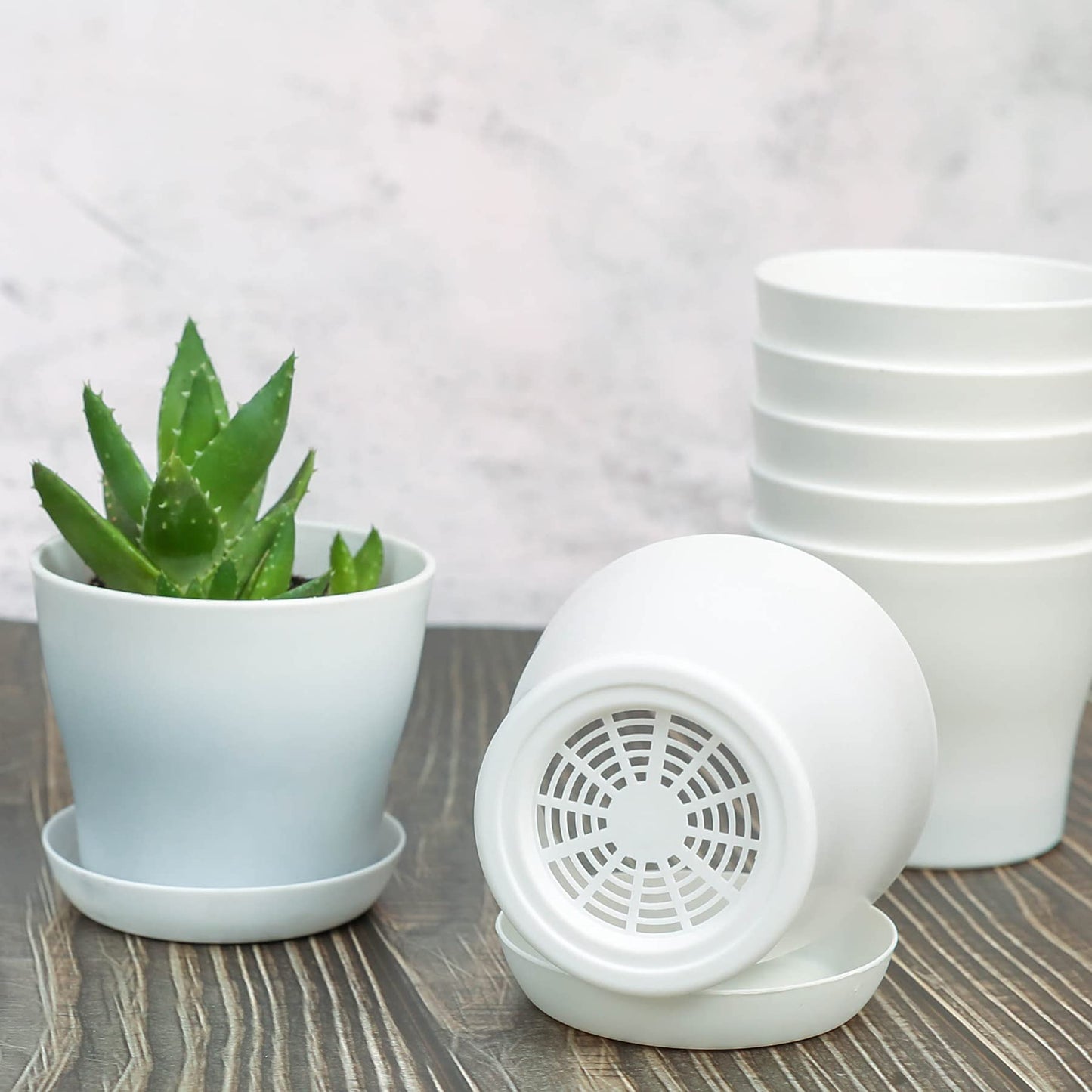TDHDIKE 10 Pcs Plastic Planters Indoor Flower Plant Pots, Mini Flower Seedlings Nursery Pot/Planter/Flower Pot with Pallet, Modern Decorative Gardening Containers (White25)