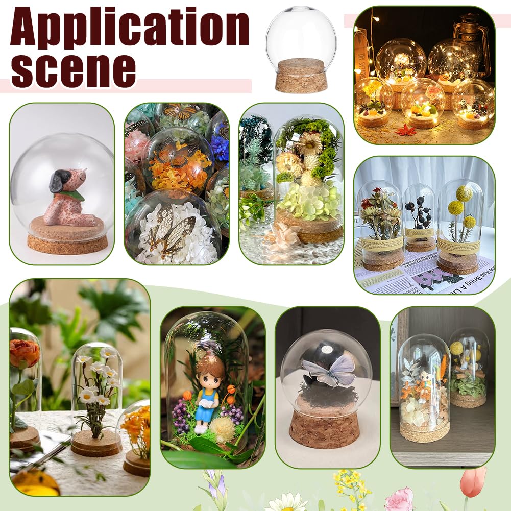 NBEADS 6 Pcs Decorative Glass Dome Cover, 2×2.4 Inch Mini Display Dome Cloche Bell Jar Clear Glass Display Dome Cover with Wood Base for Centerpieces Plants Rocks Specimens Decorations Crafts