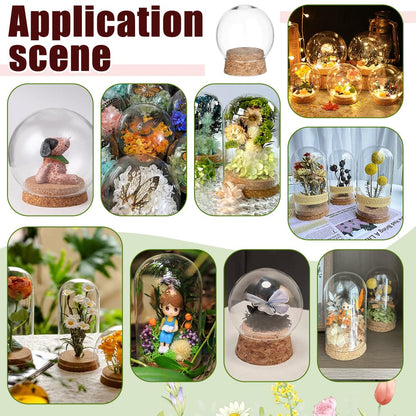 NBEADS 6 Pcs Decorative Glass Dome Cover, 2×2.4 Inch Mini Display Dome Cloche Bell Jar Clear Glass Display Dome Cover with Wood Base for Centerpieces Plants Rocks Specimens Decorations Crafts