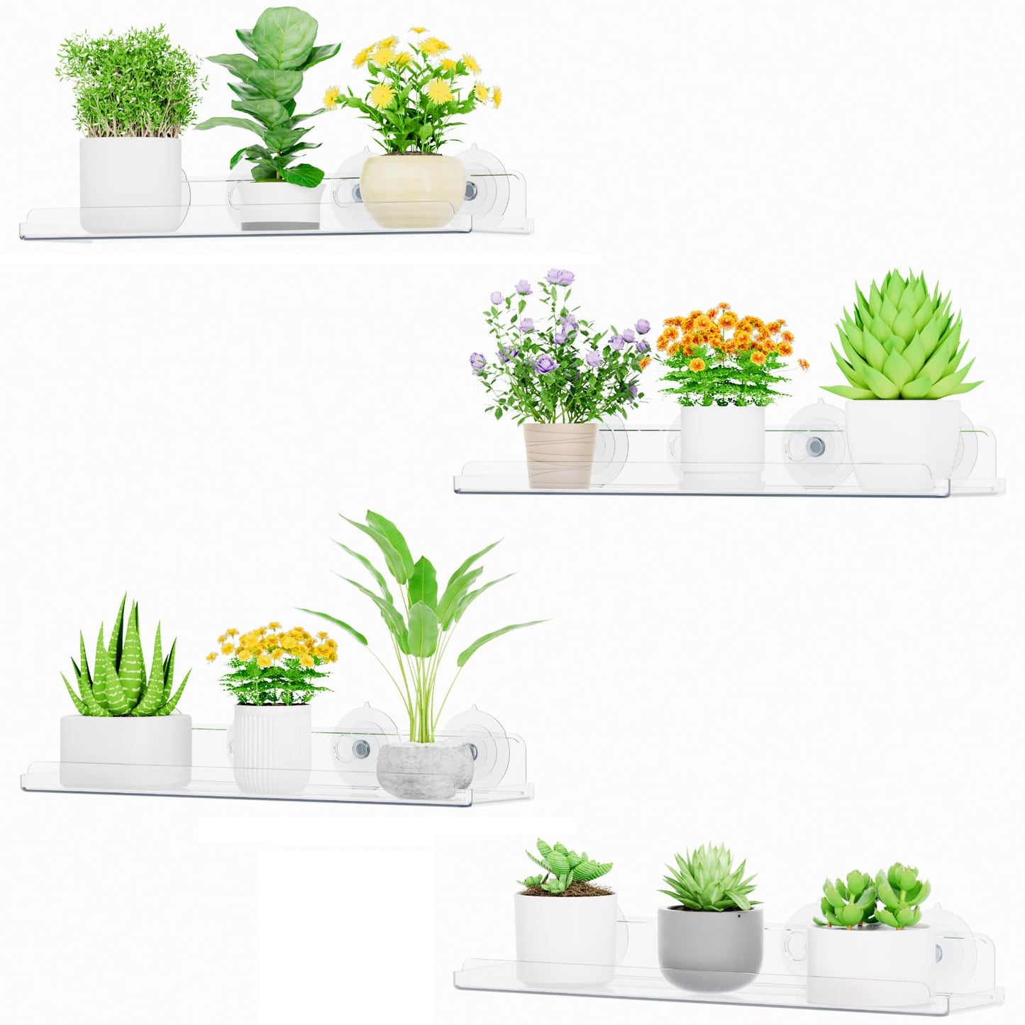 Lifewit Window Plant Floating Shelves 14.6x3.6, 4 Pack Acrylic Suction Cup Shelf, Window Sill Extender for Indoor Succulent Plants, Micro Greens, Seed Starter Pots, Herb Planters 37 x 9 cm/14.6x3.6