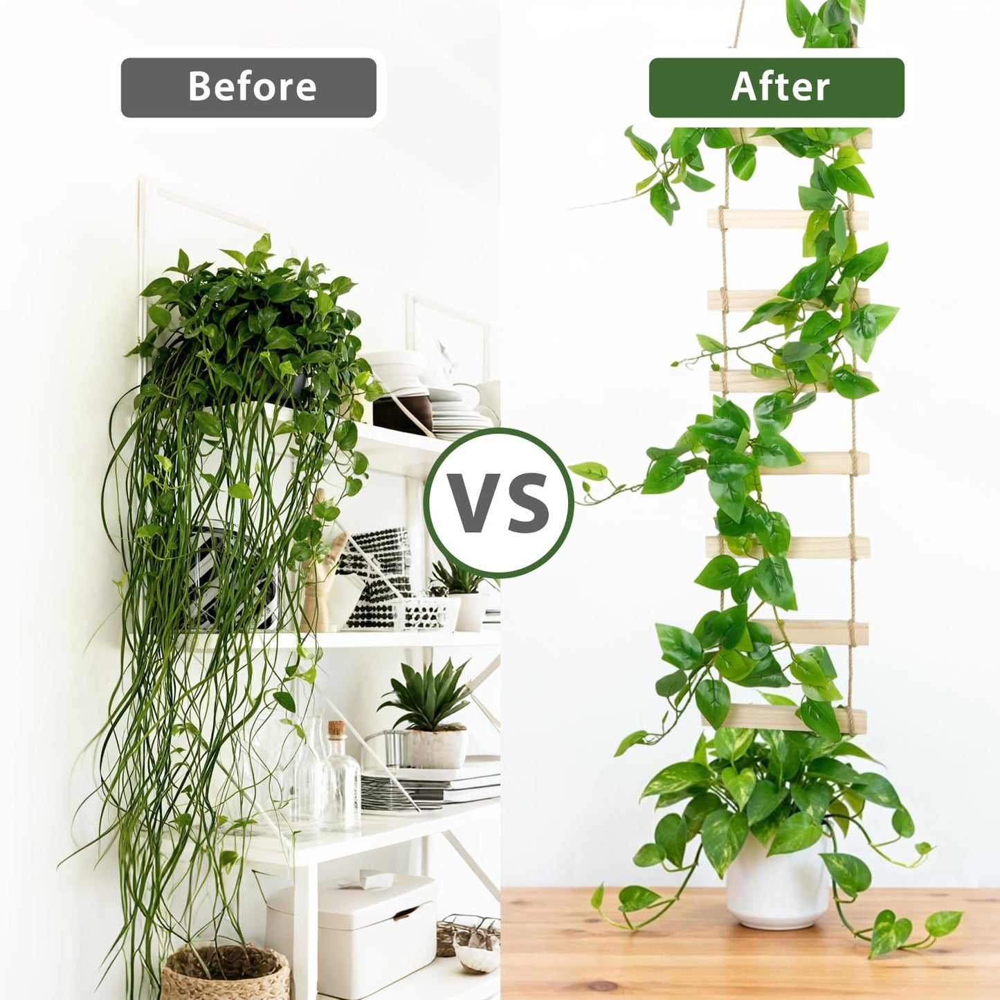 Wooden Ladder Plant Trellis for Climbing Plants – 6ft Extra Tall Indoor & Outdoor Wooden Trellis Garden Plant Support, Easy to Install for Vines, Ivy, Pothos, Monstera, Potted Plants