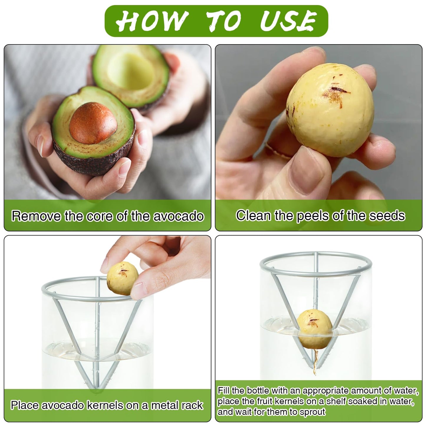 2 Pack Avocado Tree Growing Kits, Avocado Growing Vase Wooden Base Avocado Seed Starter Vase Glass Plant Pot Easy Seed Sprout Starter Gift for Women Gardening Lovers Home Office Table Decoration