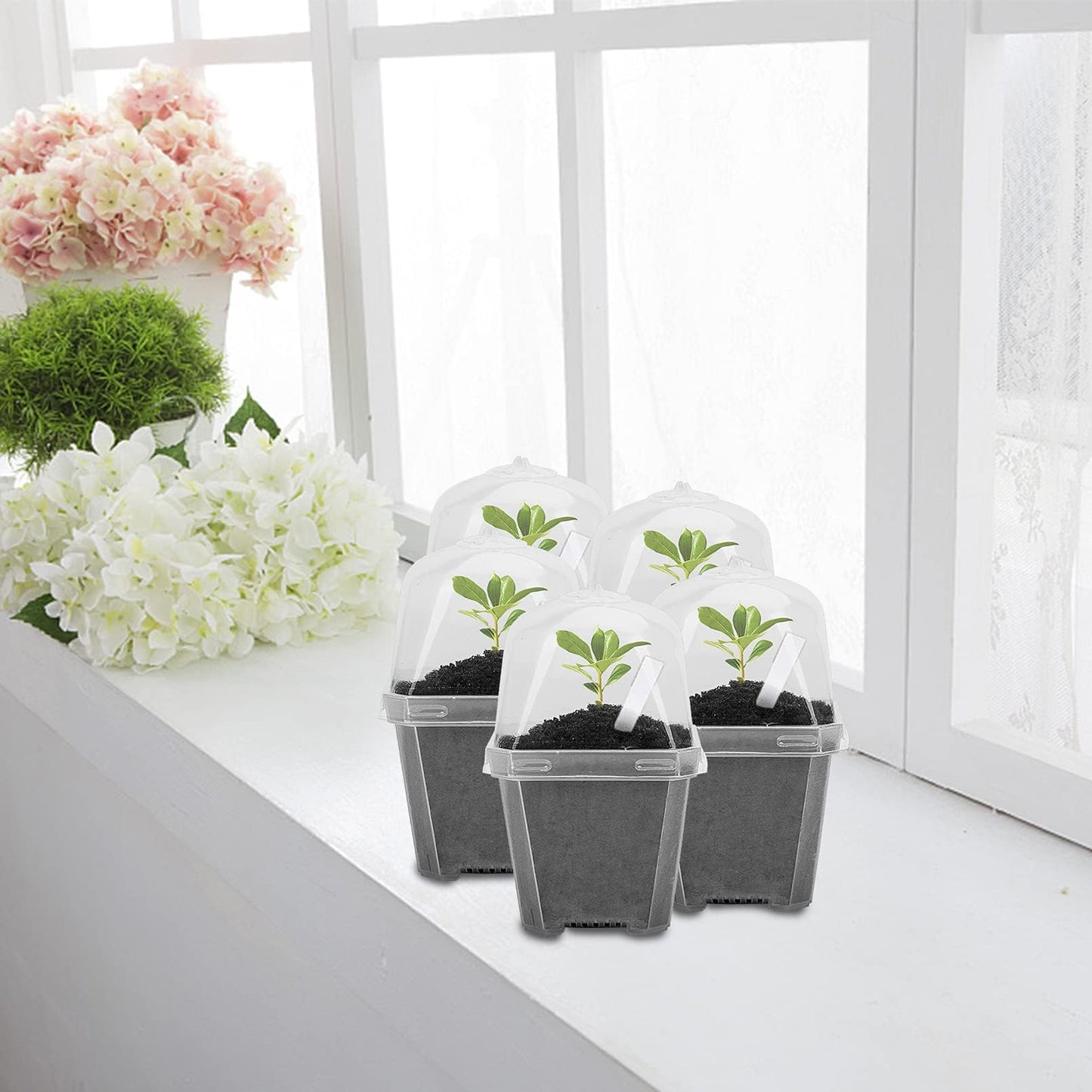 EBaokuup 50 Pcs Clear Plant Nursery Pots with Humidity Dome-4" Reusable Plastic Gardening Pot with Labels-Small Seed Starting Pots for Seedlings,Vegetables,Succulents,Cuttings