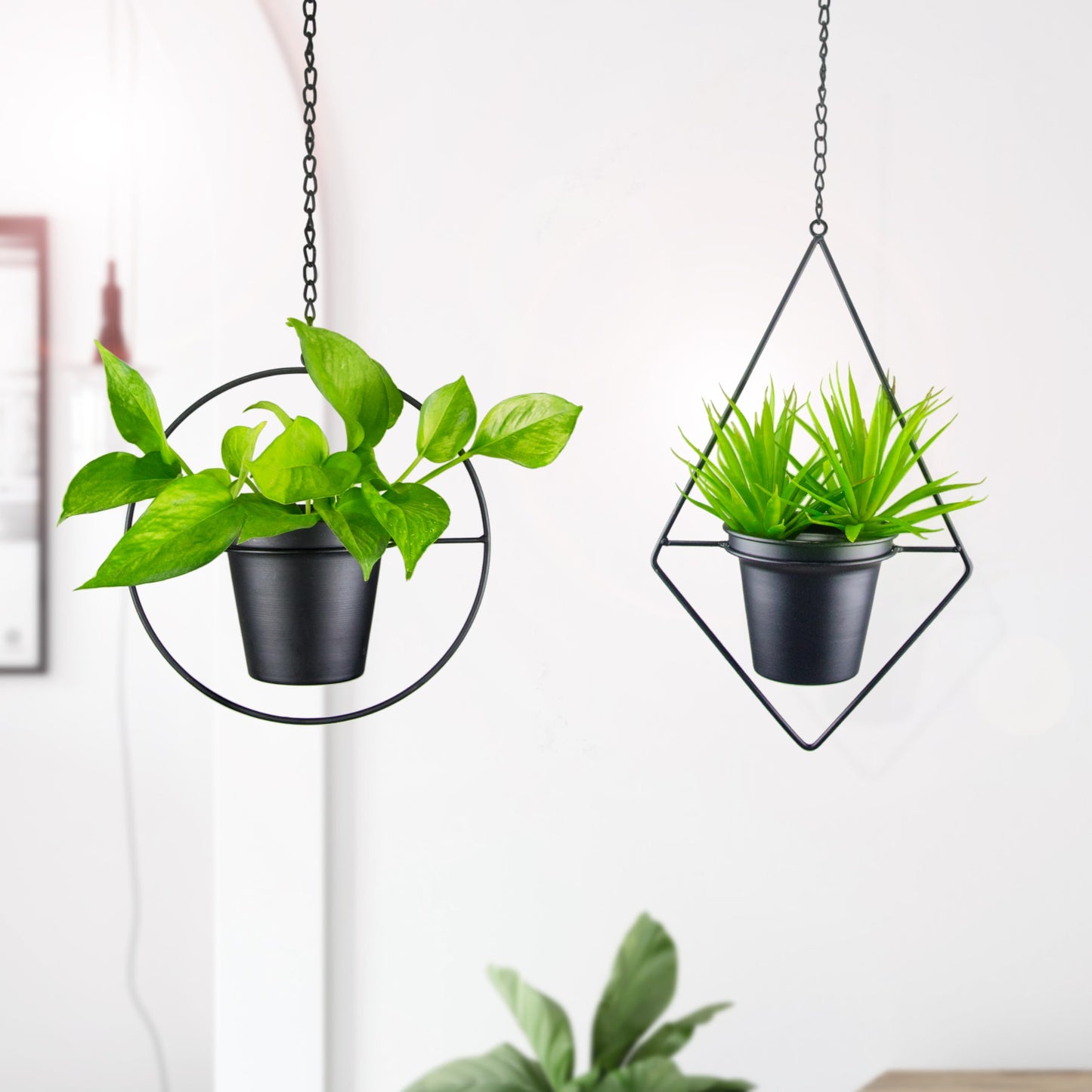 Modern Metal Hanging Planters Set of 2 - Round and Diamond Geometric Plant Hangers with 5 Inch Pots - Black Wall and Ceiling Mount Flower Holders for Indoor Houseplants, Boho Home Décor