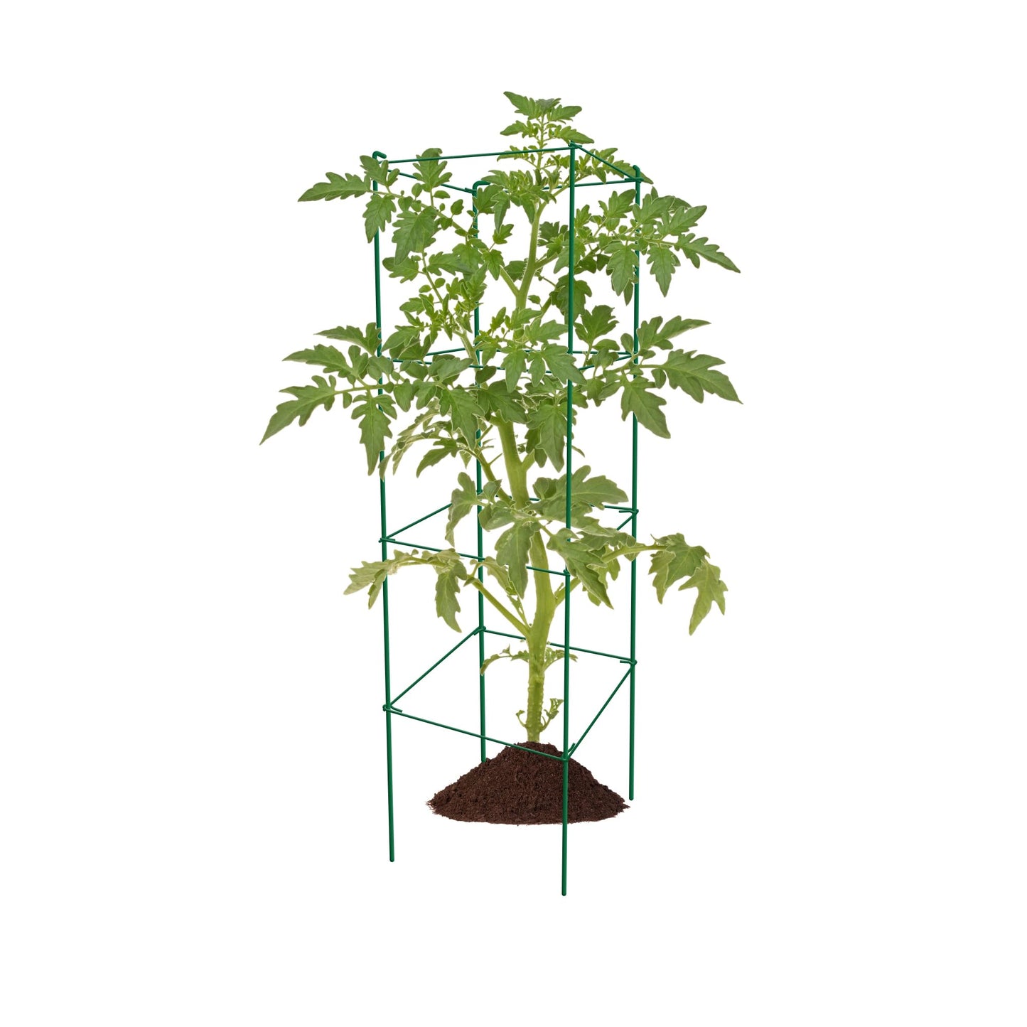 Thealyn Tomato Cages 6 Packs 46 Inches (H) Plant Stand with 164 Feet Twist Ties, Heavy Duty Garden Plants Support for Tomatoes, Cucumber, and Other Climbing Plants (Green)