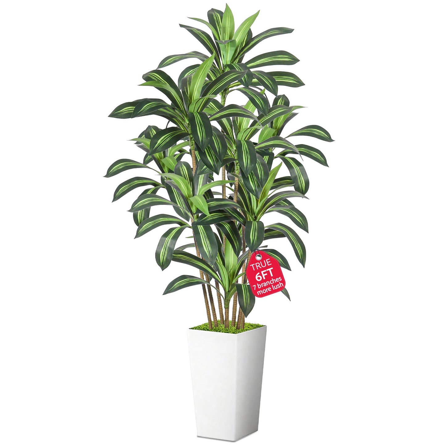 Wrbtn Realistic Artificial Indoor Plant Tree - Tall Fake Dracaena Potted Plant for Home Office Decor, Living Room & Bedroom - Lifelike Faux Plant Tree with Pot-Palm(White, 6FT)