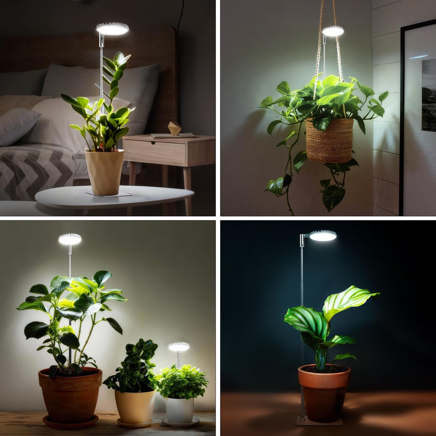 SGLEDs 12W Stake & Desktop Grow Light for Indoor Growing,12W Grow Light with Stake High PPFD,Full Spectrum Desk Growth Lamp with Automatic Timer,4 Dimmable Levels,Height Adjustable 25"-68"（White