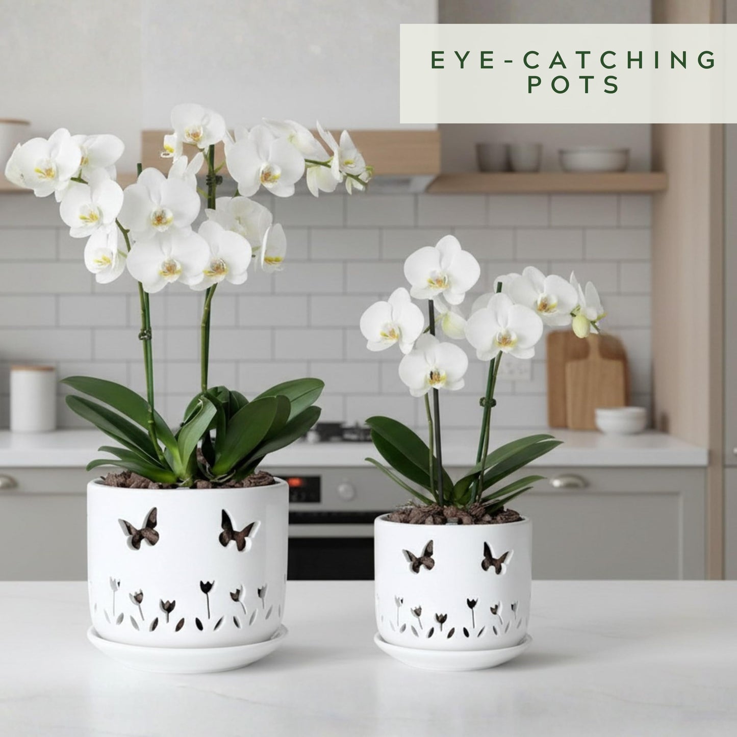 Thriving Thicket 2 Pack, 5 + 6 Inch White Orchid Pots with Butterflies and Tulips Holes and Saucer, Ceramic Orchid Planters for Repotting with Drainage Holes and Tray Indoor Outdoor, Butterfly Gift