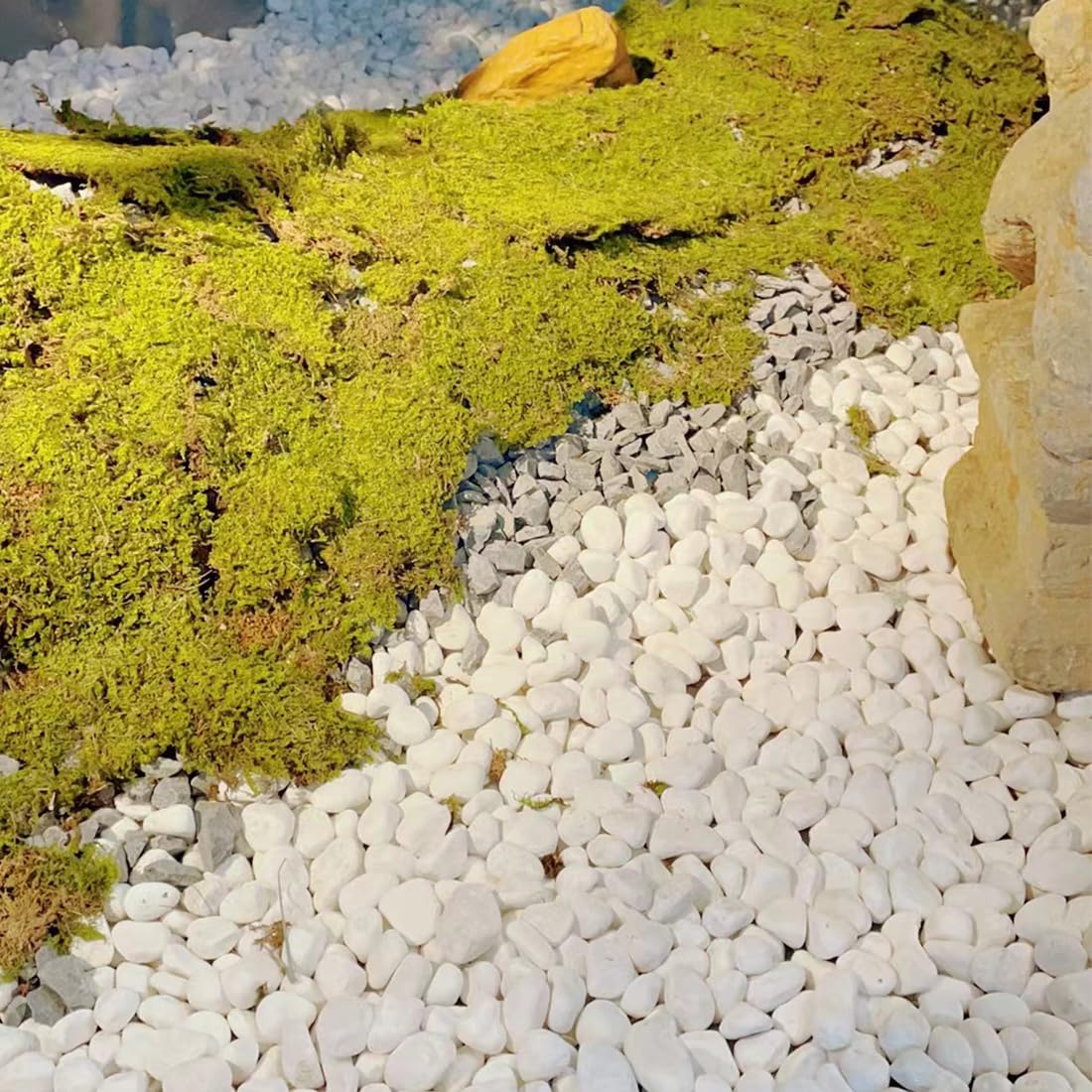 YISZM 5lb White Pebbles for Indoor Plants, 1-2 Inch Natural River Rocks, Snow White Decorative Stones, Ideal for Fish Tank, Vases, Crafting, Home Decor and Garden Landscaping Rocks