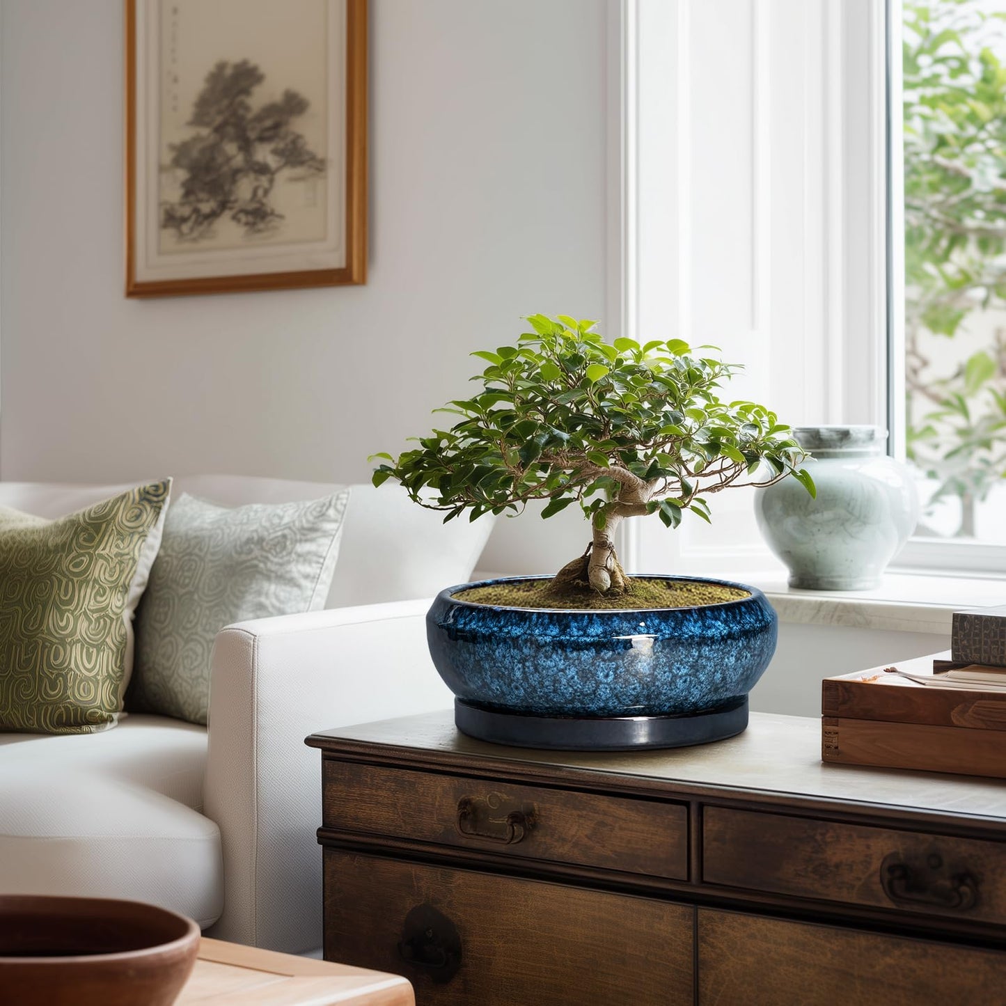 EPFamily Bonsai Tree Pots 10 Inch - Ceramic Succulent Pot with Drainage Hole and Saucer, Bonsai Pots for Indoor Outdoor, Round Succulent Planter, Shallow Planter, Desk Decor, Plant Lover Gifts, Blue