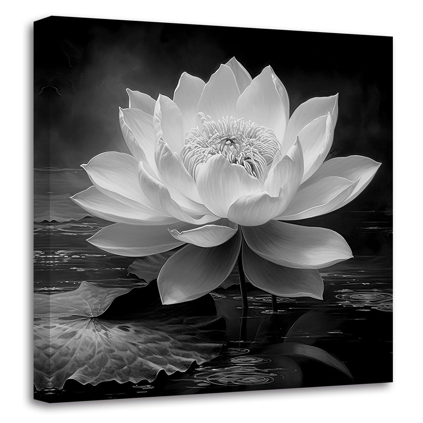 LZIMU Black White Zen Canvas Wall Art Blossom Lotus Picture Water Lily Prints Spiritual Artwork for Bathroom Meditation Yoga Spa Room Decor(Picture-3, (12.00" x 12.00"))