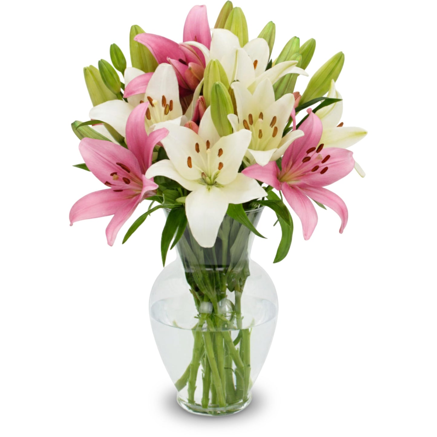 STARGAZER BARN 10 Stem Pink & White Lily Bouquet (Vase Not Included) - Hand-Tied in the USA - Fresh Flower Delivery for Birthday, Anniversary, Sympathy, Home Decor, Wedding, Mother's Day