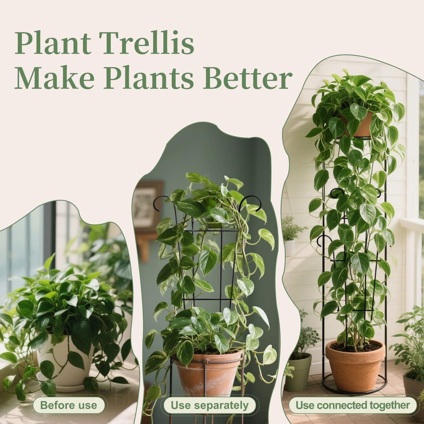 2 Pack 23.6 Inch Small Trellis for Potted Plants - Rustproof Garden Trellis for Potted Indoor Houseplants, Plant Support for Ivy, Pothos, Monstera, Hoya, Flower Vines (23inch/2 Pack)