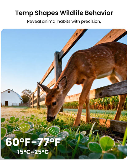 Misstech 4K UHD Solar Trail Camera for Game & Wildlife Monitoring - 0.1s Fast Activation to Record Animals, 64MP/4K Clear Night Vision, No Monthly Fee, App Control, IP66 Waterproof, Local Storage
