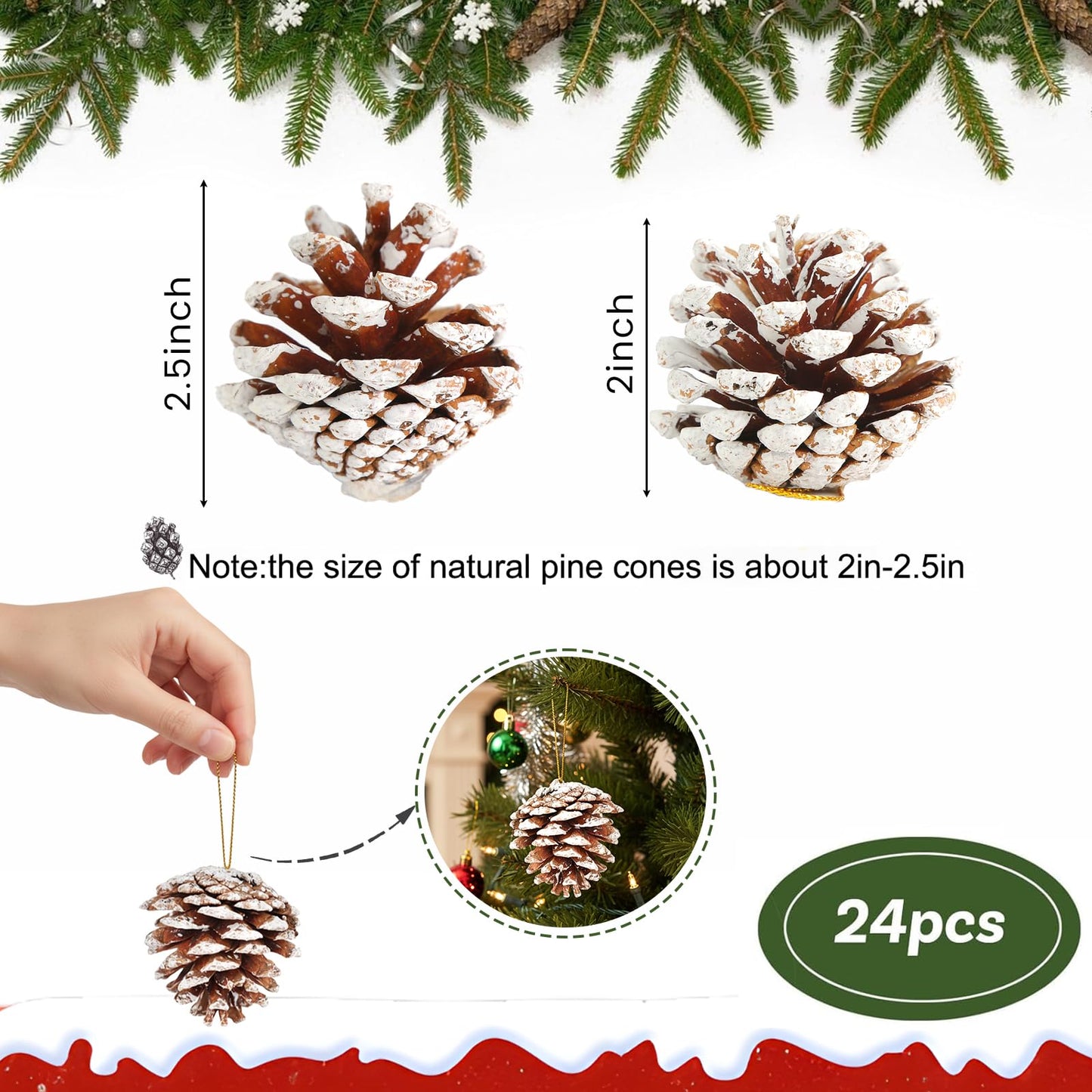 JOHOUSE 24PCS Snow-Dusted Natural Pine Cones with Gold String – 2-2.5in Pinecone for Crafts, Thanksgiving & Christmas Tree, Wreath/Garland DIY, Table/Bowl/Vase Fillers, Fall Winter Home Decor