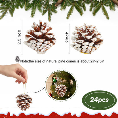 JOHOUSE 24PCS Snow-Dusted Natural Pine Cones with Gold String – 2-2.5in Pinecone for Crafts, Thanksgiving & Christmas Tree, Wreath/Garland DIY, Table/Bowl/Vase Fillers, Fall Winter Home Decor