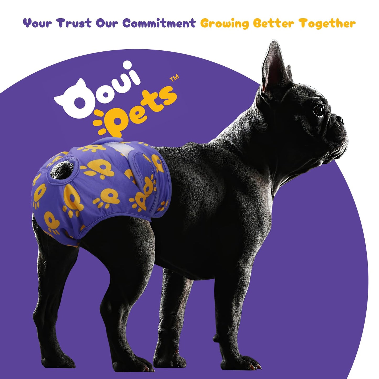 Ooui Pets 3-Pack Resuable Dog nappies female and male | Highly Absorbent Dog period pants, Adjustable, Eco-Friendly | Washable Dog Diapers Female, Chic & Incontinence Solution (Size M)