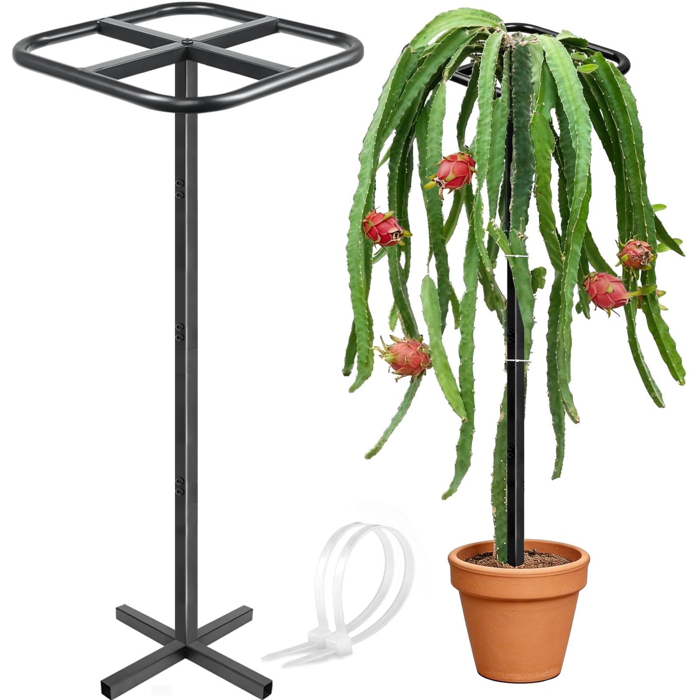 Ansonation Extra Thick Adjustable Dragon Fruit Trellis,Durable Metal Plant Trellis Outdoor Climbing Plants Support Frame for Vertical Gardening Trees Cactus Black
