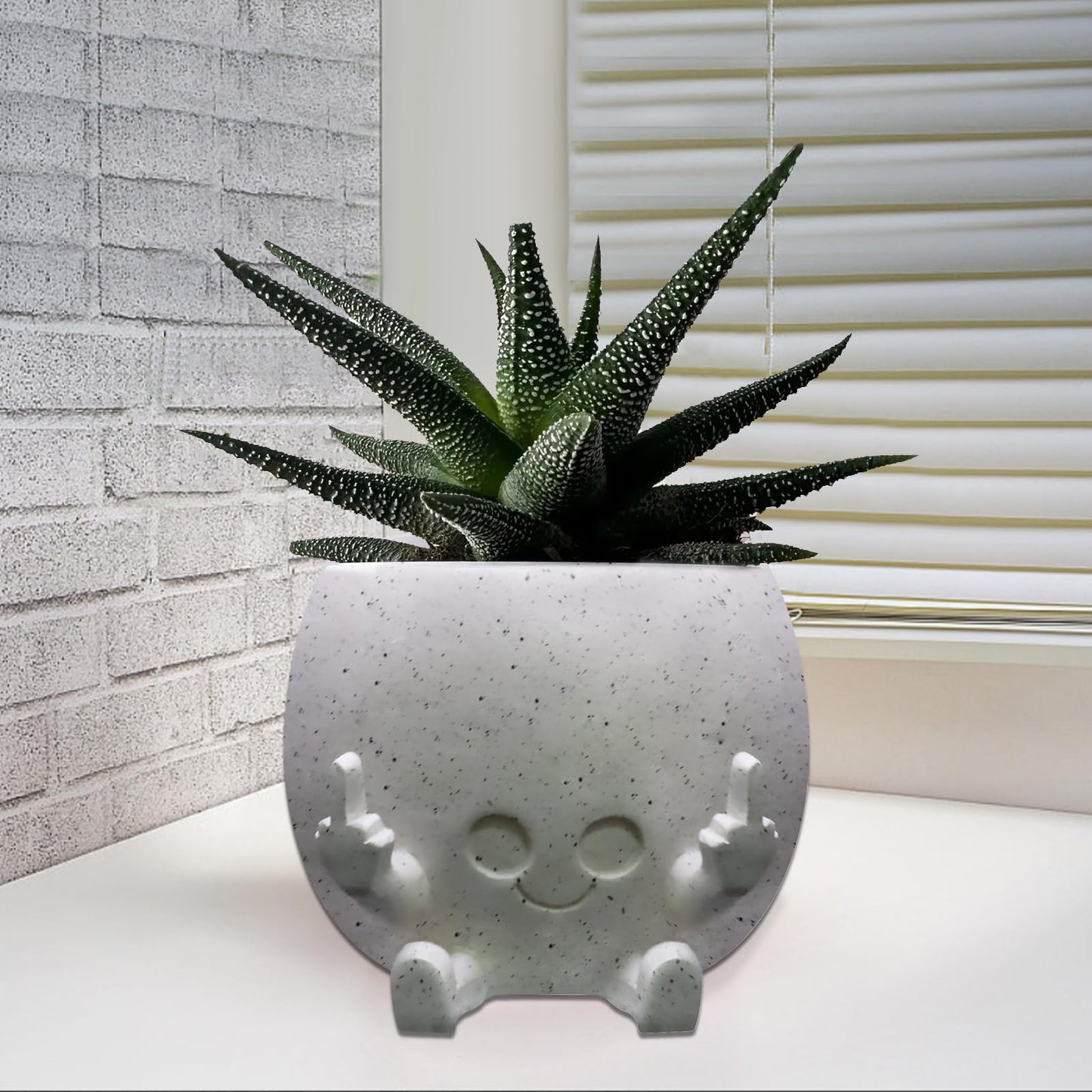 Toparad Smiling Plant Pot with Middle Fingers Up, Face Planter Pot Resin Flower Planters for Indoor Outdoor Plants Succulent Pots for String of Pearls Plant Live Gift Ideas for Mother (White)