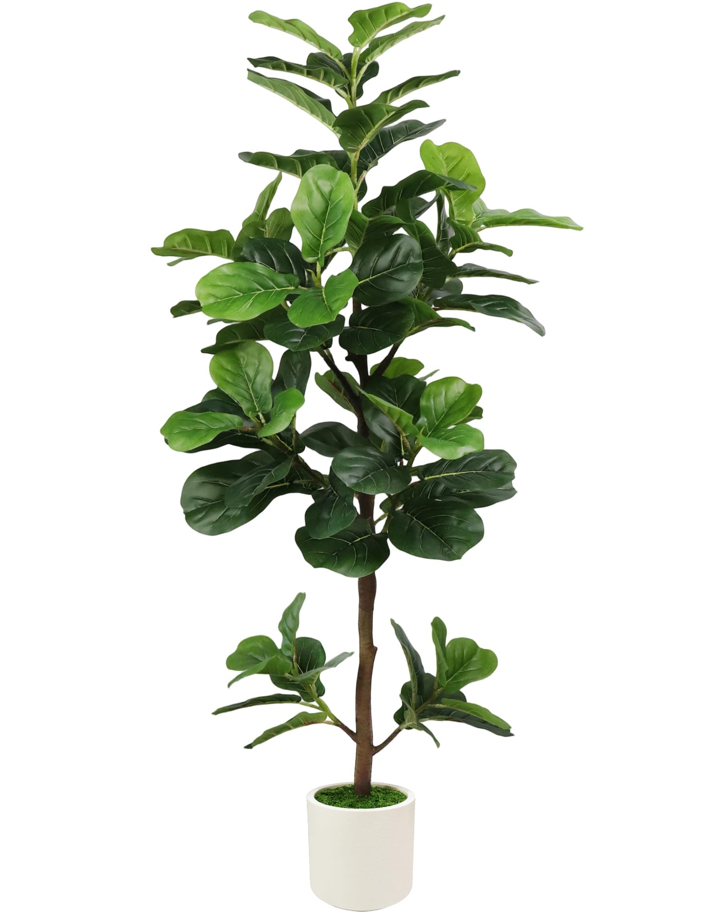 5FT Artificial Fiddle Leaf Fig Tree with White Planter & Fake Moss, Realistic Faux Ficus Lyrata Floor Plant for Indoor Home Office Decor, Housewarming Gift