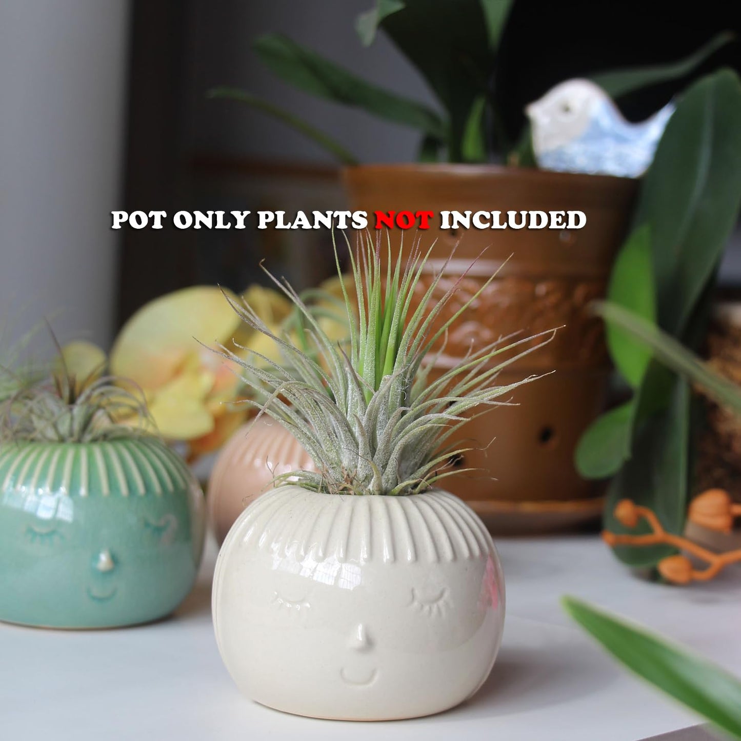 SCSFCVIUS Air Plant Holder Ceramic Planter - 4PCS Porcelain Cute Air Plant Pot Planter Tillandsia Airplants Holders Home Decor (4 Cute Holders)