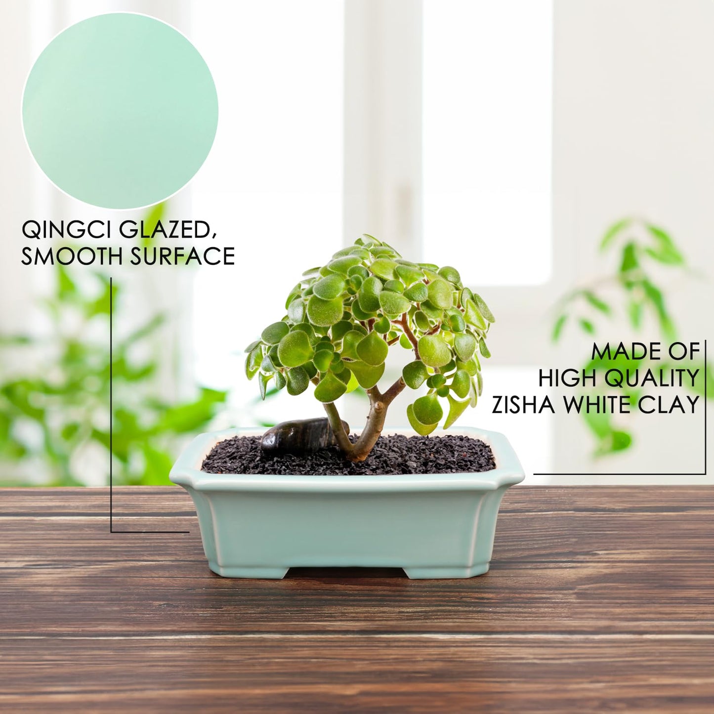 Set of 2 Zisha White Clay Bonsai Pot Glazed Shallow Succulent Planter Light Green