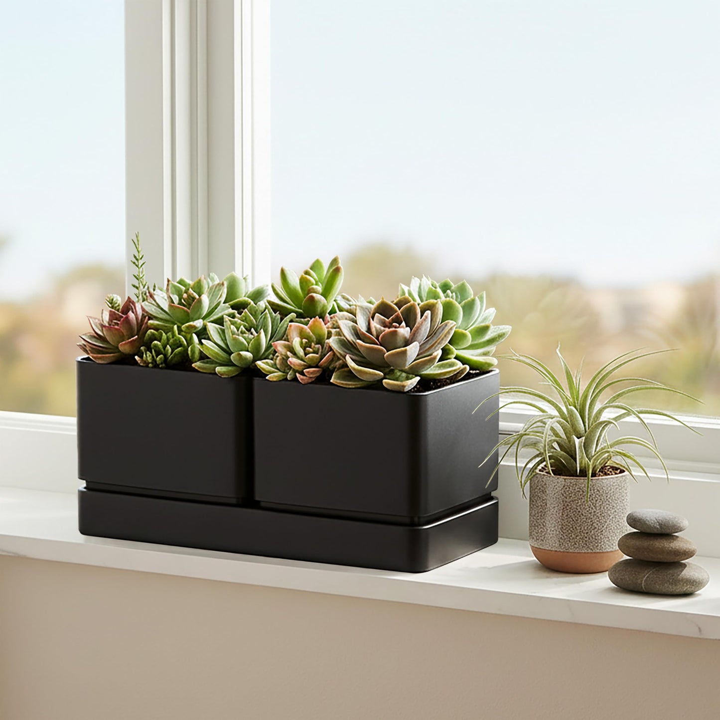 D'vine Dev Indoor Herb Garden Planter Set, Plastic Windowsill Plant Pots with Drainage and Saucer, Indoor Succulent Cactus Vegetable Pot for Balcony, Office, Garden, Black, Set of 2, 76-Q-B-2