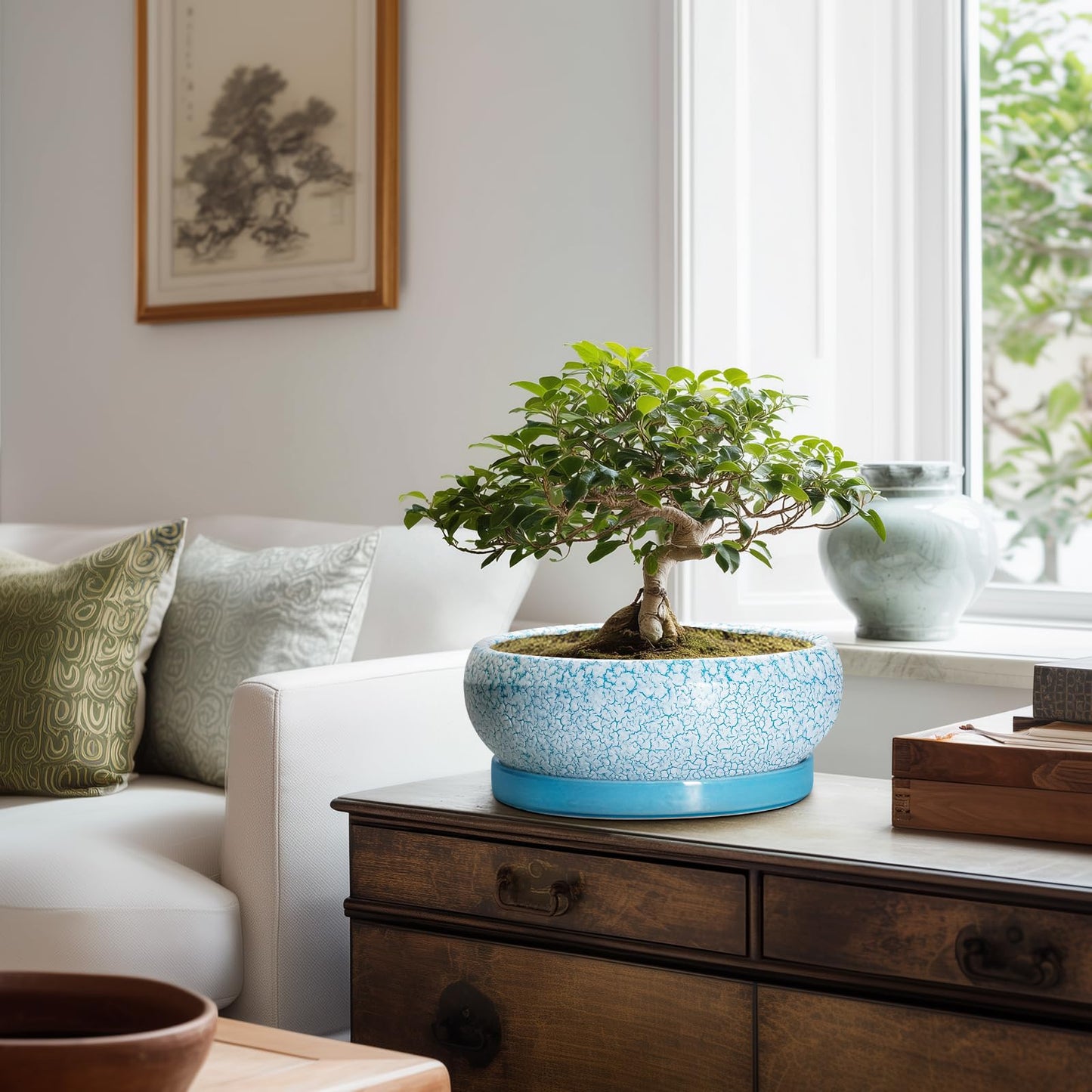 EPFamily Bonsai Pots 10 Inch - Shallow Ceramic Planters for Indoor Outdoor, Succulent Pots with Drainage Hole and Saucer, Round Planter Bowl, Succulent Planter, Garden Decor, Housewarming Gifts, Blue