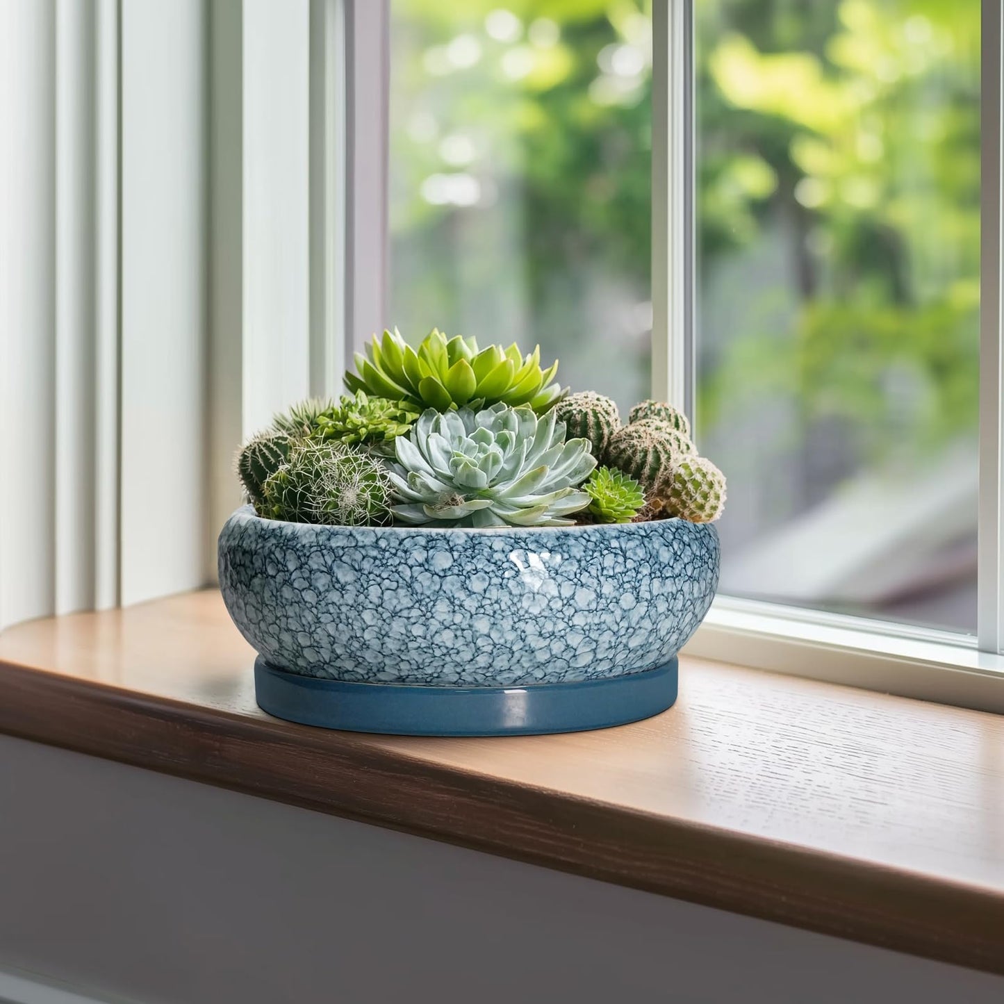EPFamily Bonsai Pots 10 Inch - Ceramic Succulent Planters with Drainage Hole and Saucer, Succulent Pots for Indoor Outdoor, Shallow Flower Pot, Round Planter, Patio Decor, Housewarming Gifts, Blue
