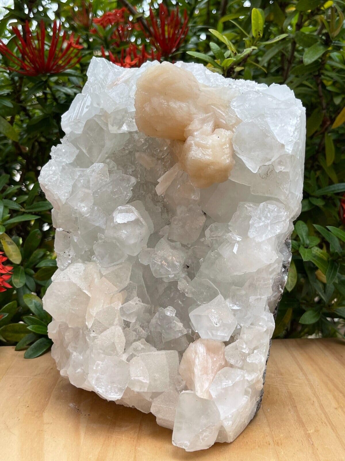GAF TREASURES Apophyllite Cluster Geode Free Standing | Natural Apophyllite Crystal Display Piece | 0.5–9 lbs | Healing, Decor & Collectible Mineral