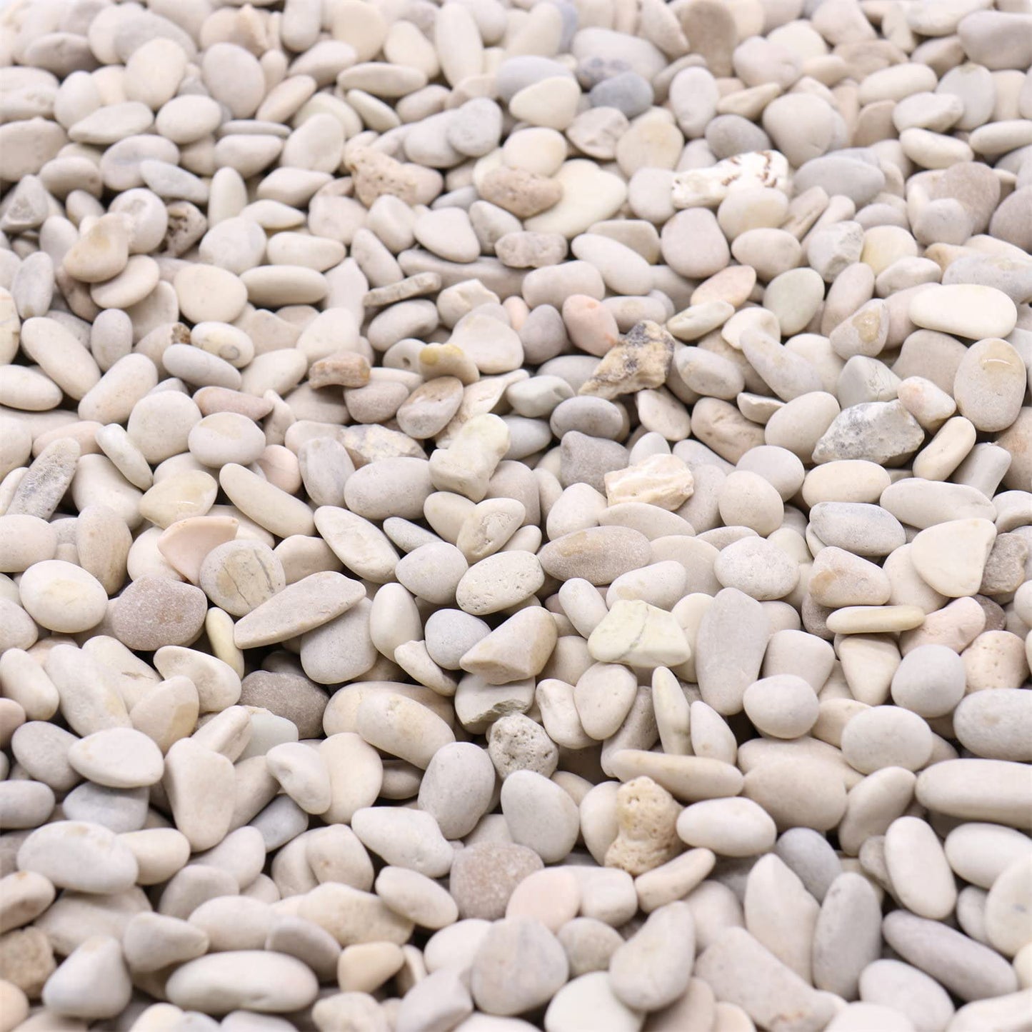 Premium Pebbles Rocks - Cream White Decorative Pebbles, 3/8 Inch - 10 lbs. Landscaping and Garden Stones, Suitable for Succulents and Pots