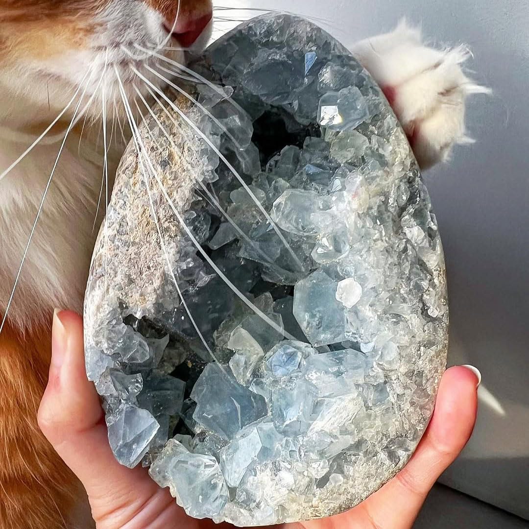 0.88-1.8lb Natural Celestine Cluster - Blue Quartz Geode for Home & Office Decor - Raw Crystal Healing Stone with Natural Formations