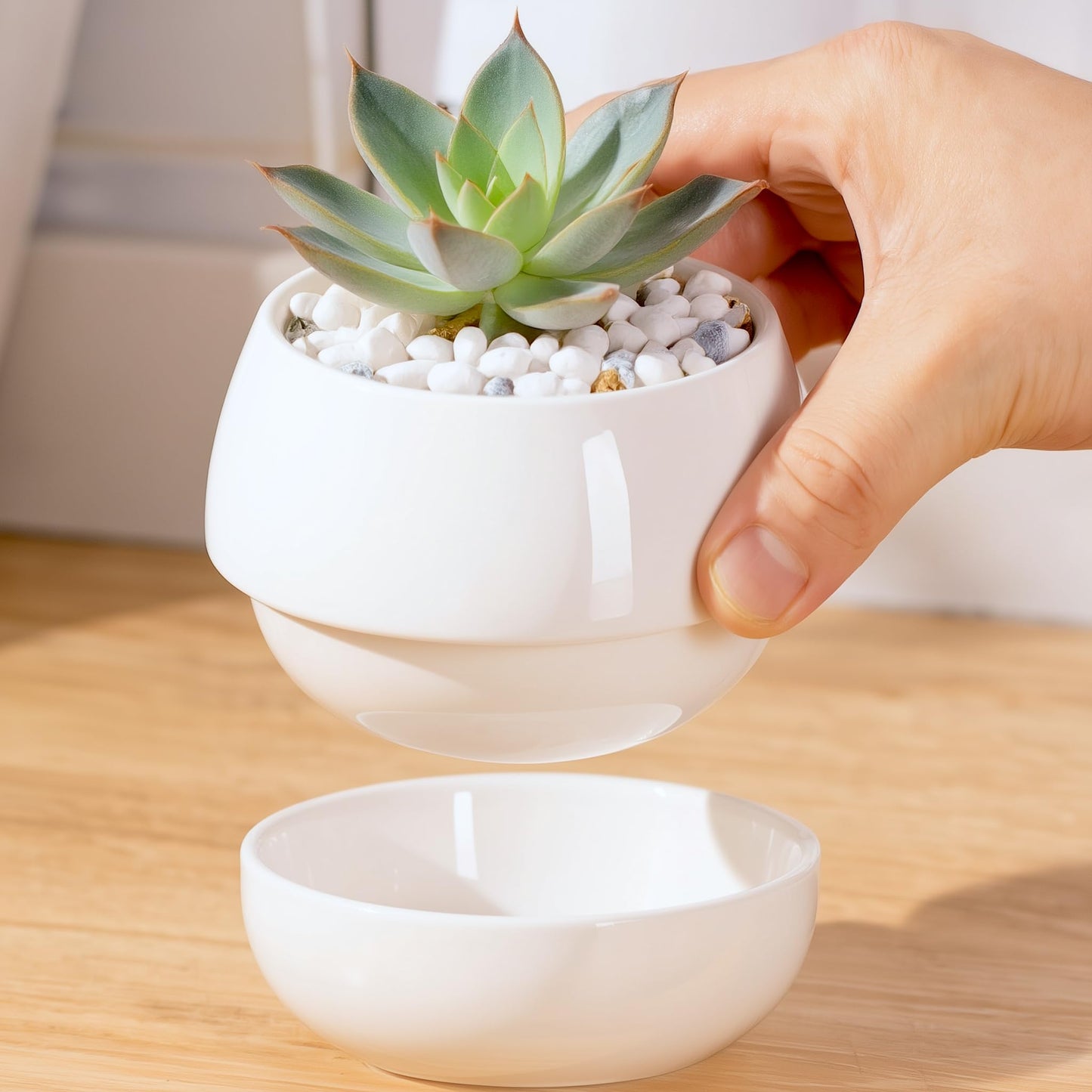 Willowy Small Succulent Pot (1 Pack) - Succulent Pots with Drainage Tray - Ceramic Plant Pots, Cactus/Succulent Planters, Small Flower Pot - No Succulents/Plants Included