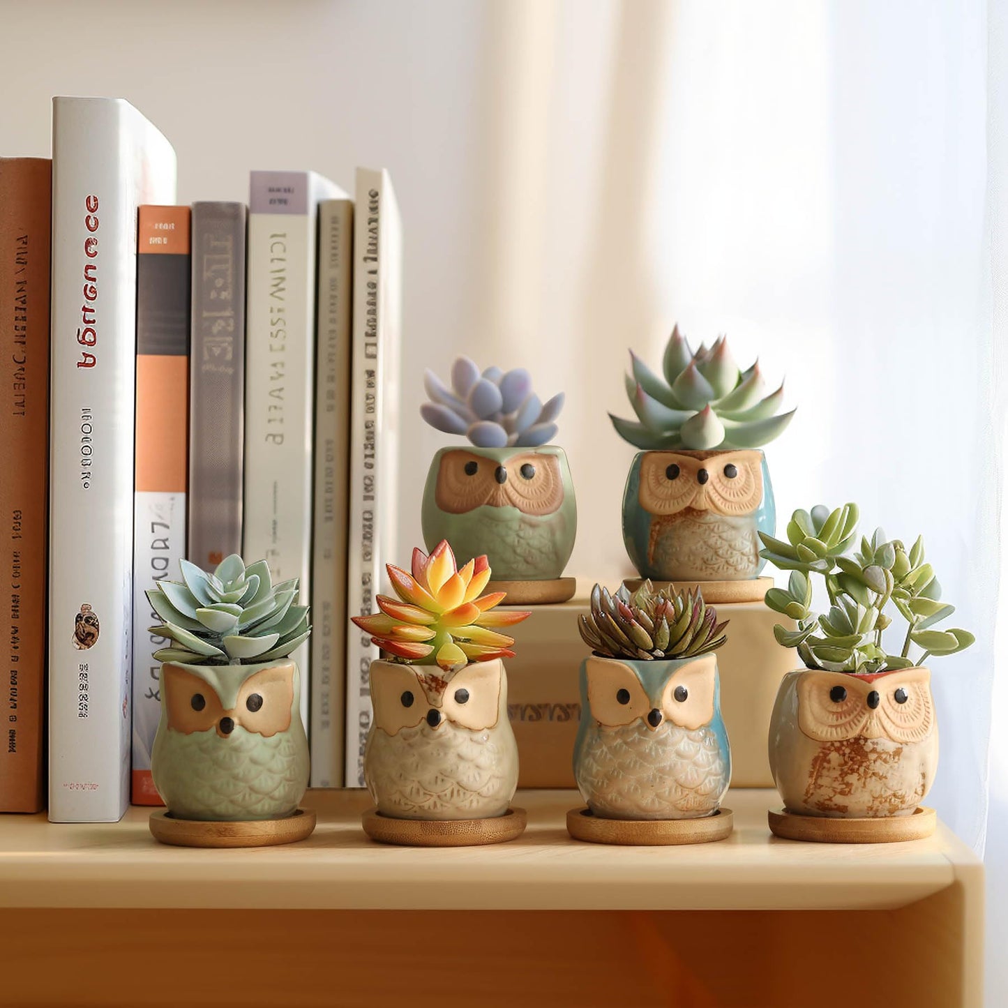 T4U 2.5 Inch Owl Ceramic Succulent Planter Pots with Bamboo Tray Set of 6, Flowing Glaze Porcelain Handicraft Plant Holder Container Gift for Mom Sister Aunt Best for Home Office Garden Decoration