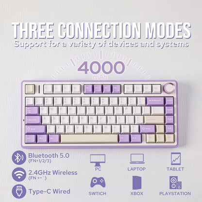 EPOMAKER x Aula F75 Gasket Mechanical Keyboard, 75% Wireless Hot Swappable Gaming Keyboard with Five-Layer Padding&Knob, Bluetooth/2.4GHz/USB-C, RGB (Light Blue, LEOBOG Reaper Switch)