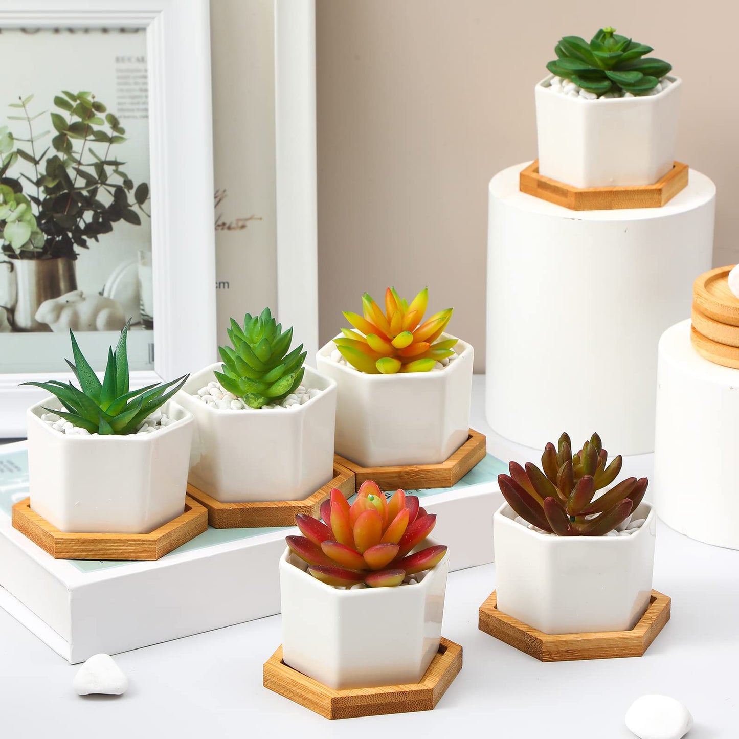 Gerrii Succulent Pots Mini White Ceramic Flower Planter Pot Succulent Planters with Wooden Trays and Drainage Holes for Plants Cactus Home Office Decoration, Plants Not Included(24 Pcs)