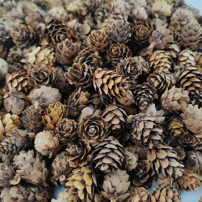 TIHOOD 160PCS 1.18"-1.97" Christmas Natural Mini Pine Cones-Thanksgiving Pine Cones Ornaments for DIY Crafts, Home Decorations,Fall and Christmas,Wedding Decor