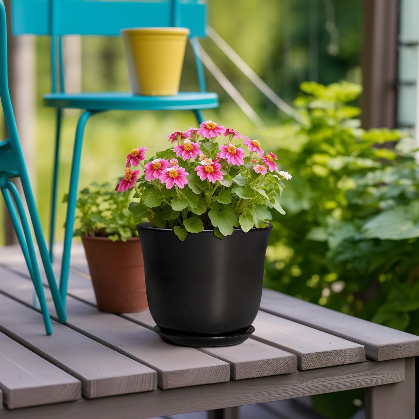 SUNPOTFOR Ceramic Planter - 5.6 Inch Plant Pot for Indoor Outdoor, Round Succulent Pots with Drainage Hole and Saucer, Orchid Flower Pot, Modern Planter, Home Office Decor, House Warming Gifts, Black