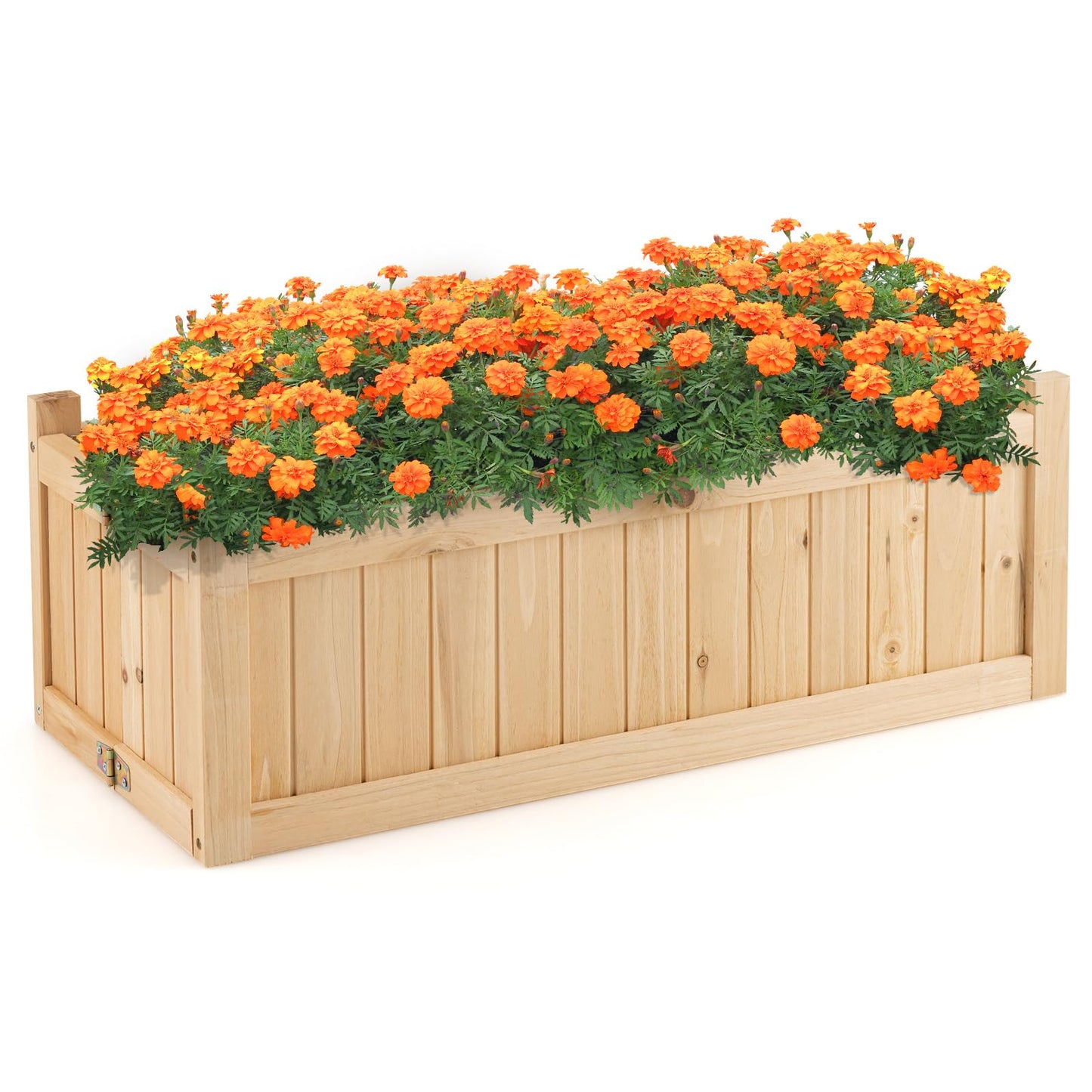 GRAFFY Raised Garden Bed, Folding Wood Planter Box w/Removable Bottom & Drainage, Elevated Planter for Flower Herb Vegetable Fruit, Plant Container for Grass Lawn Patio Backyard (27.5"D x 12"W x 10"H)