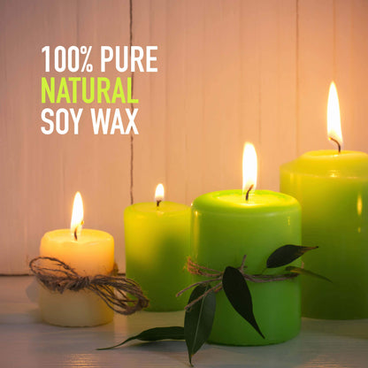 10 lbs Soy Wax by Oraganix - DIY Candle Making Kit with 150 Pre-Waxed 6-Inch Wicks and 3 Centering Devices - Smooth Burning Wax for Craft Projects and Scented Project Creations