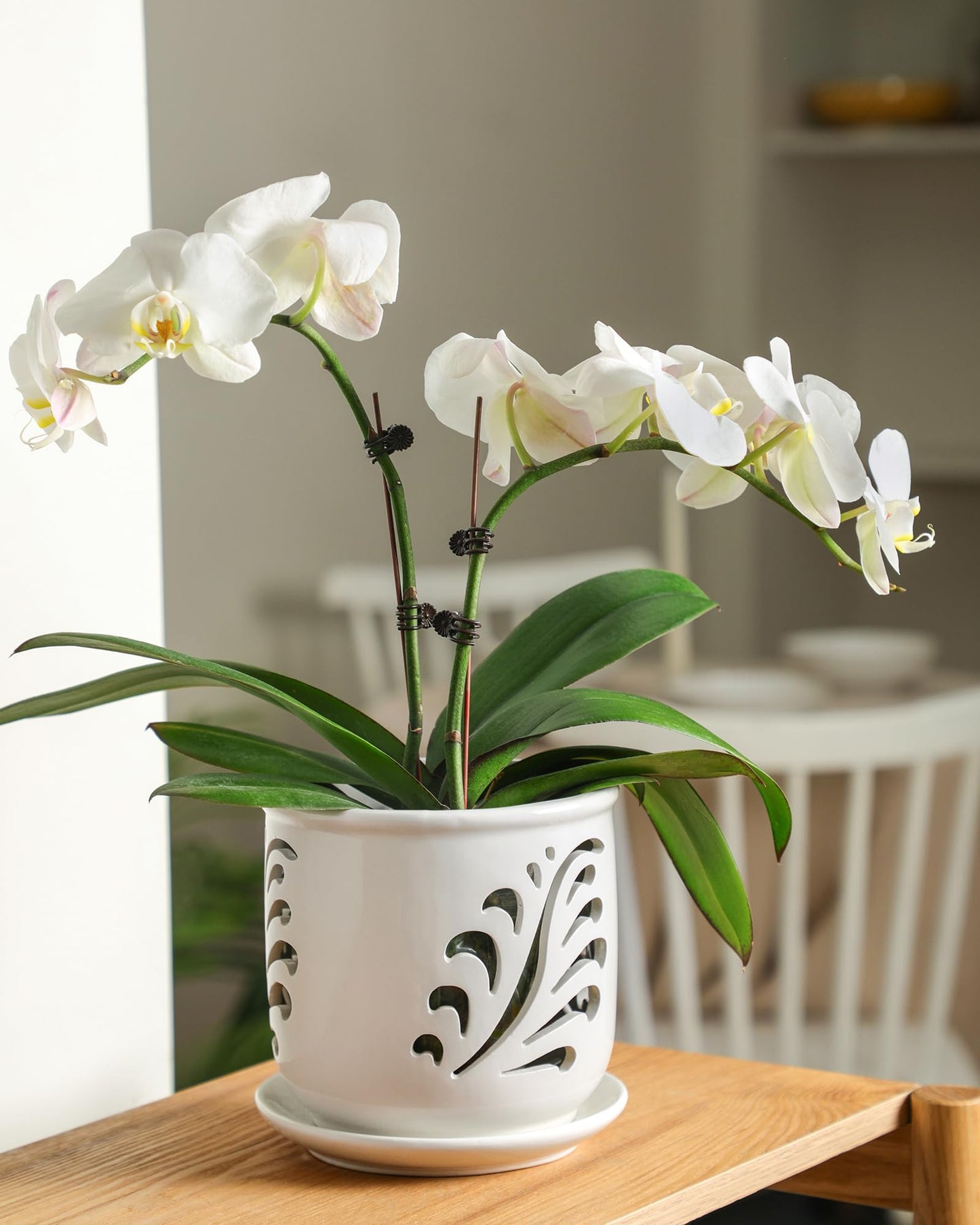 Fayoula Ceramic Orchid Pot, 6 Inch Orchid Pots with Holes and Saucer for Indoor/Outdoor Plants Drainage & Air Circulation, White Orchid Planter for Repotting or New Plants