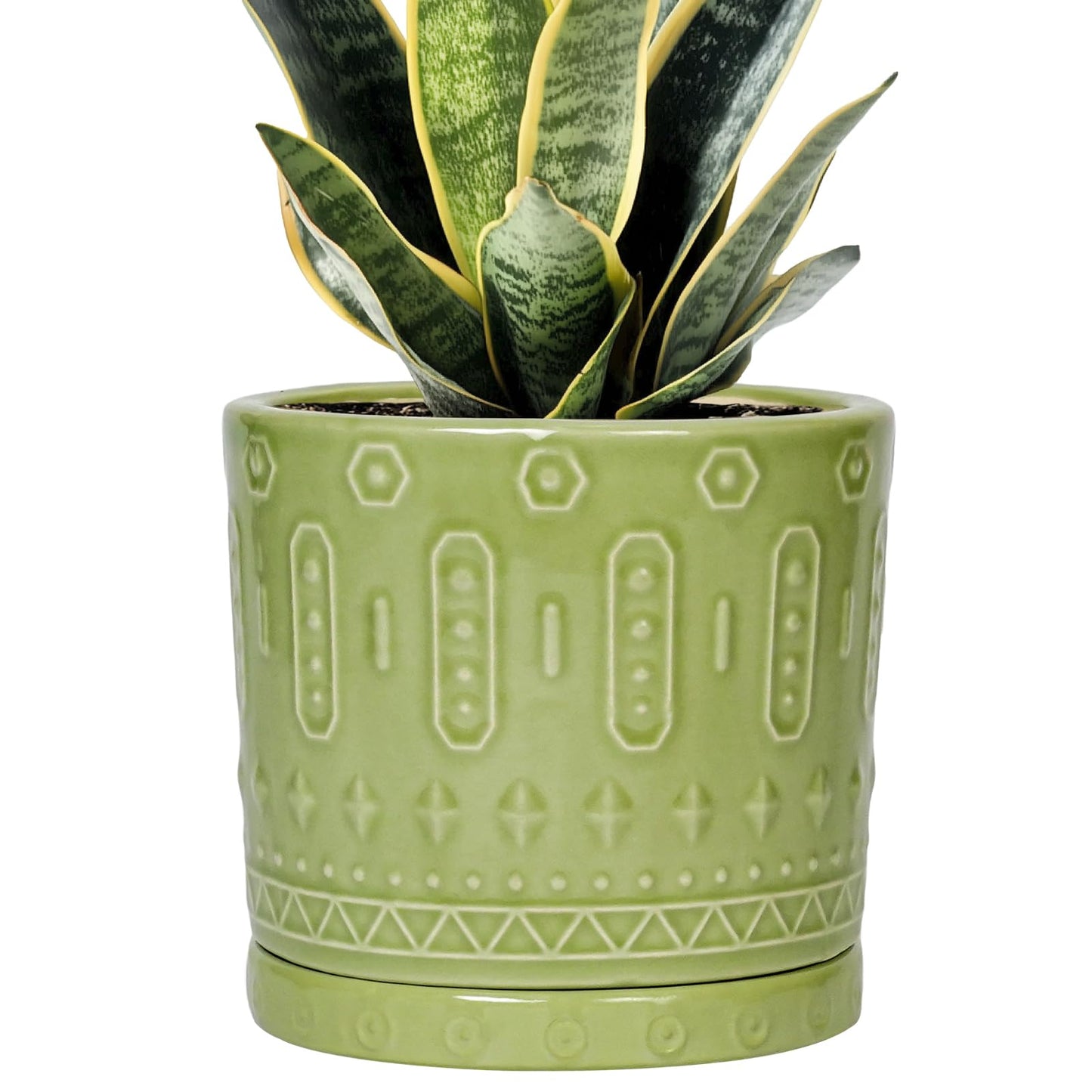 Eightpot Ceramic Pot for Plants - 6 Inch Indoor Planter with Drainage Hole and Saucer, Round Decorative Flower Pots Outdoor, Boho Succulent Planter, Garden Home Decor, Gifts for Plant Lover, Green