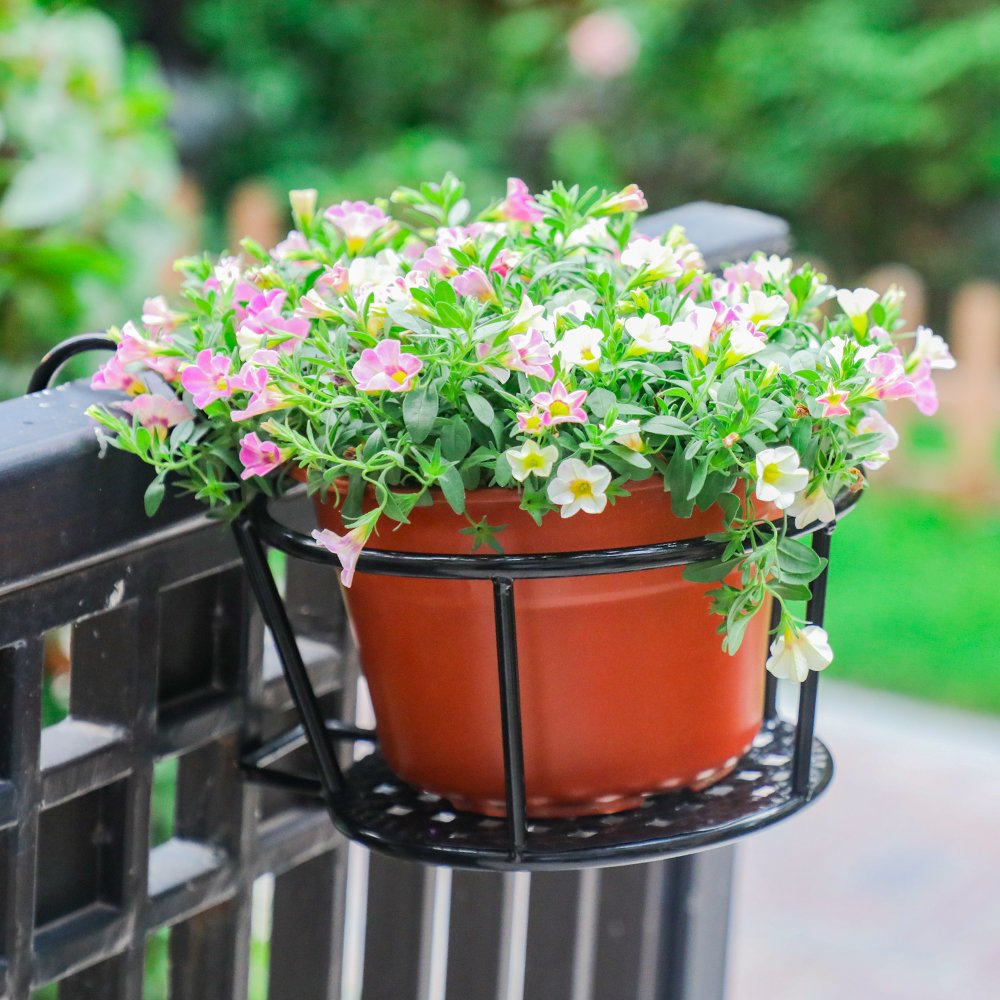 HowRU Iron Art Hanging Baskets Flower Pot Holder - Over The Rail Metal Fence Planters - Pack of 3 - Black