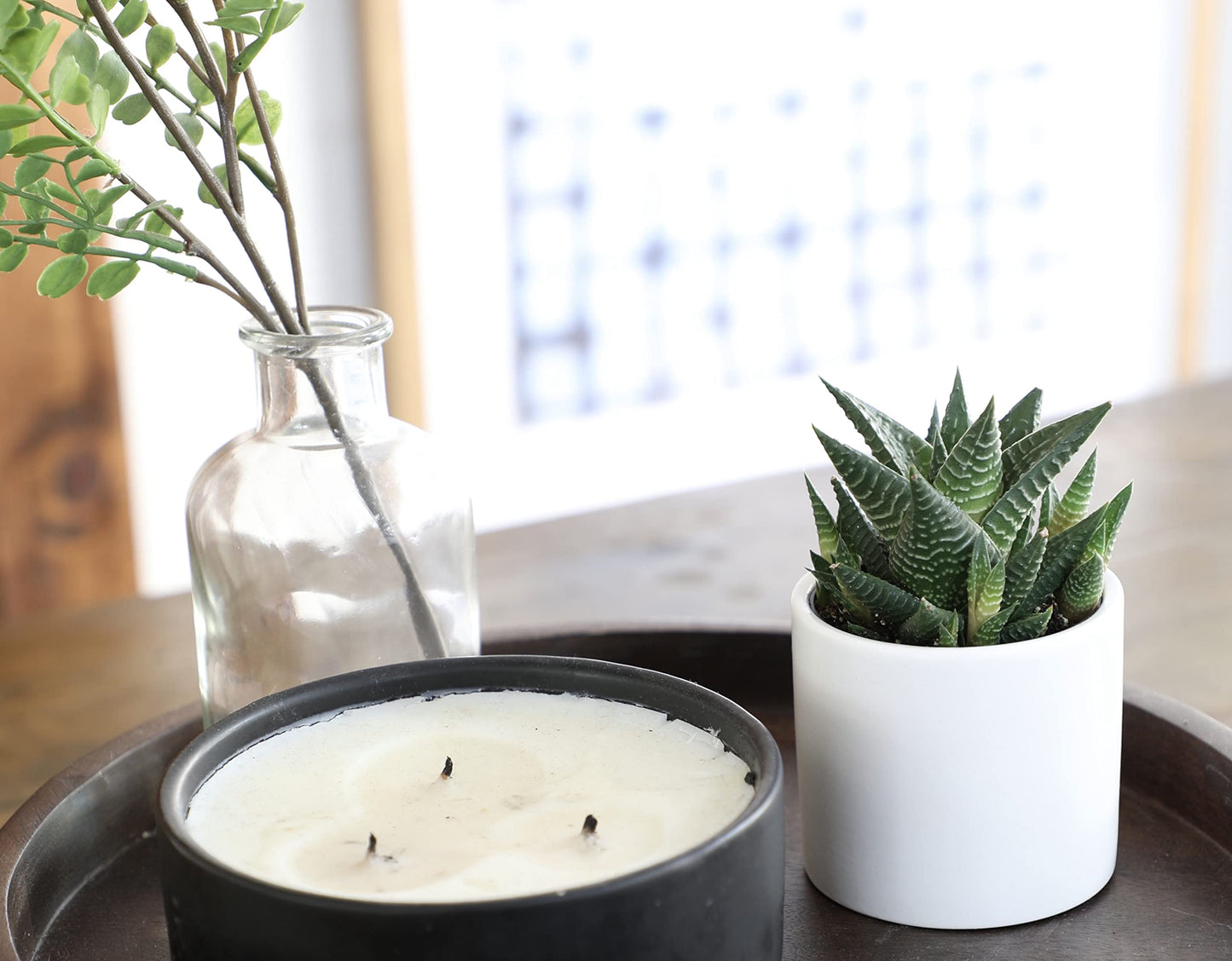 Haworthia Succulent Plant Live in White Planter, Live Succulents Plants Live Plants, Live Indoor Plants Live Houseplants, Low Light House Plants, Succulent Plants Cactus Plants Live by Plants for Pets