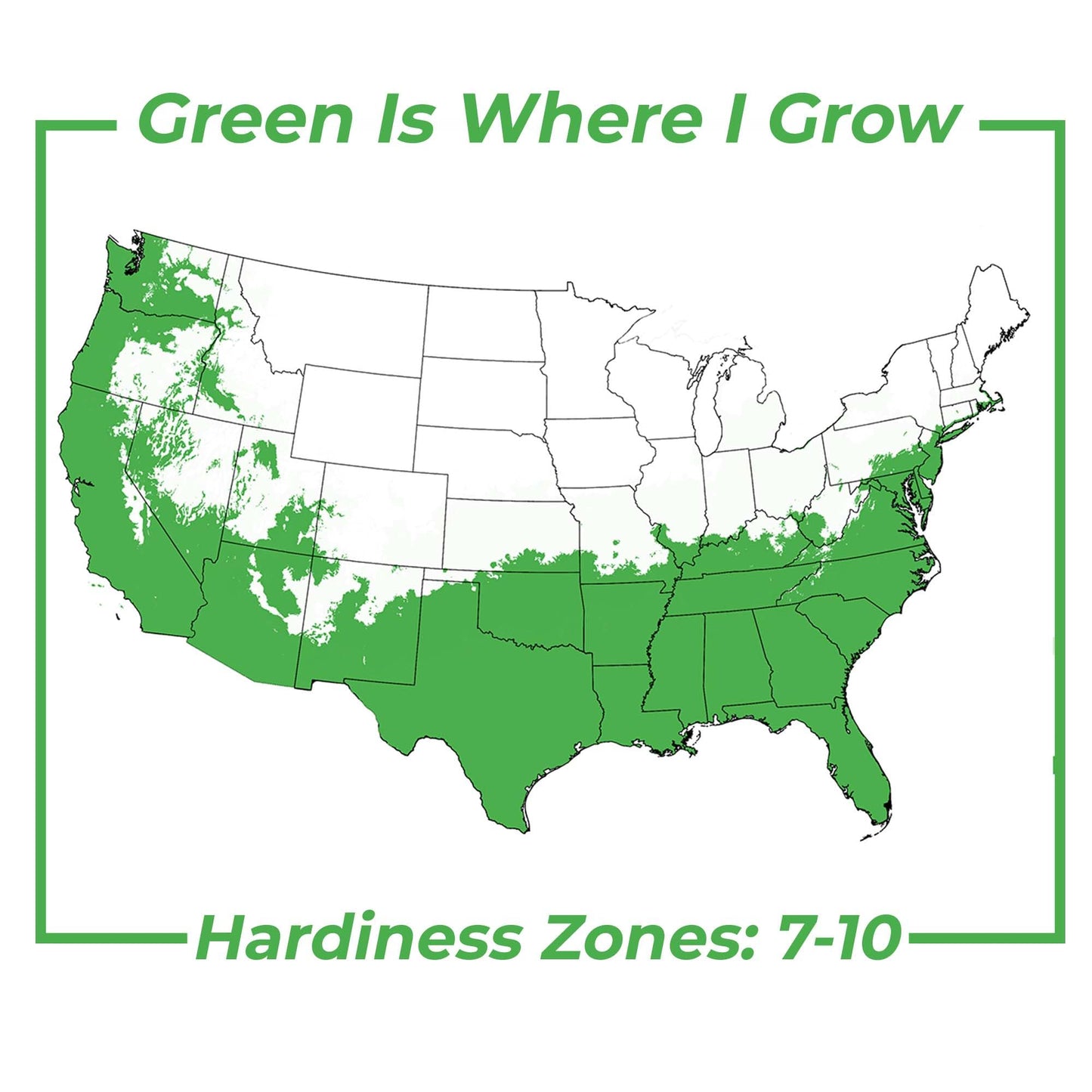 Perfect Plants Kara Bala Miursal Pomegranate Tree in 1 Gallon Pot | Deep-Crimson Fruit | 20+ lbs Per Season | Cold Hardy to 5°F | Self-Fertile | Zones 7-10