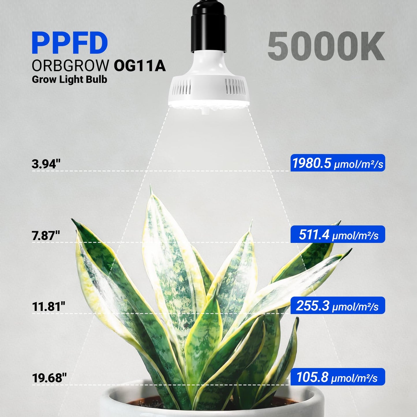 Barrina Orbgrow OG11A2 Clip On Grow Lights for Indoor Plants, Integrated Stepless Dimming & Timing, 5000K 22W(2 x 11W, 200 Watt Equiv), Full Spectrum 2-Gooseneck with E26 Plant Light Bulbs
